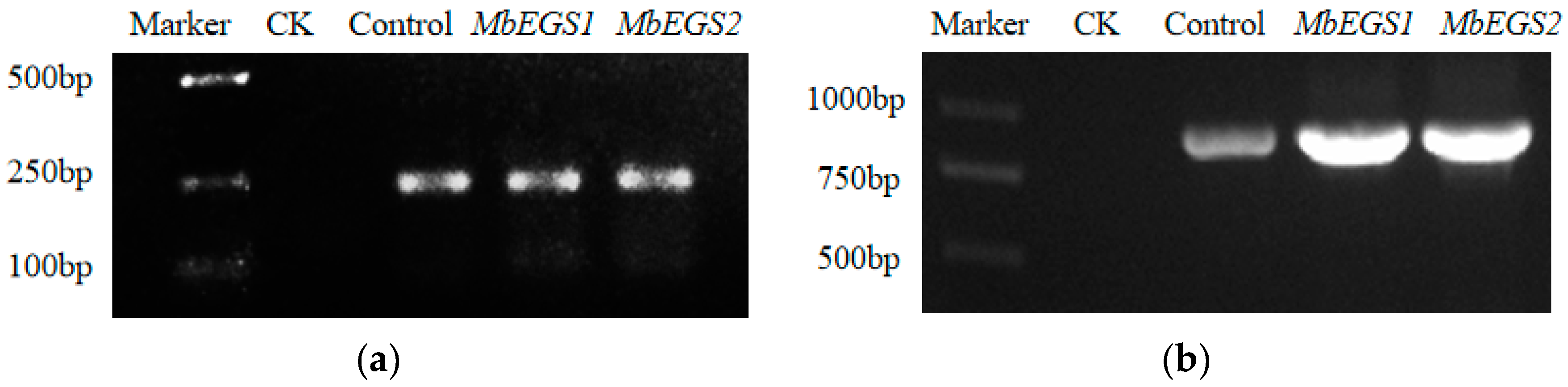 Plants 12 01026 g002