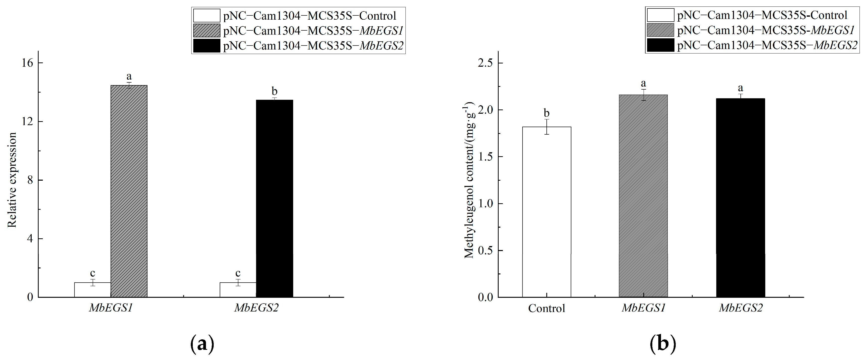 Plants 12 01026 g003