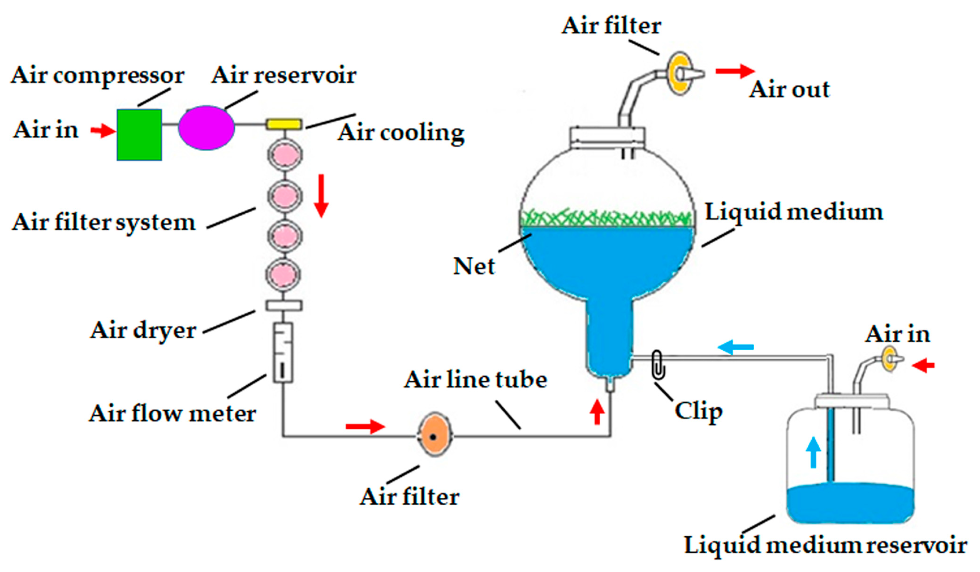 Plants 12 01037 g006