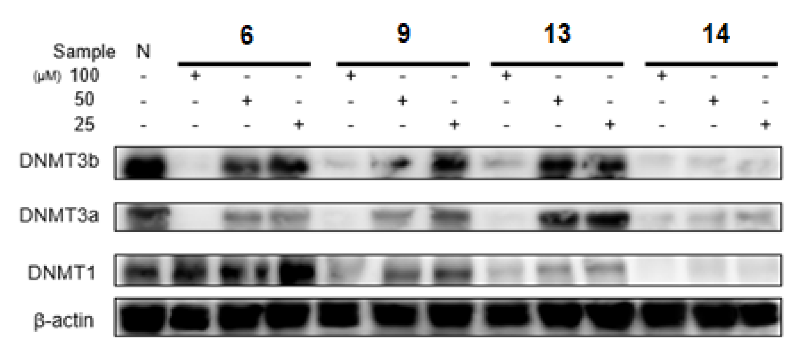 Plants 12 01047 g010