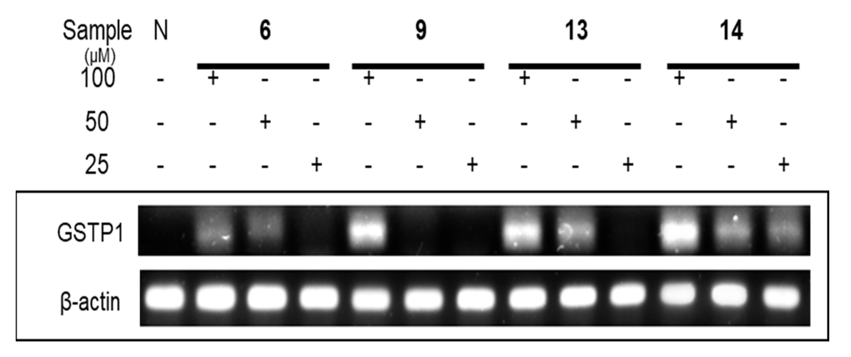 Plants 12 01047 g011