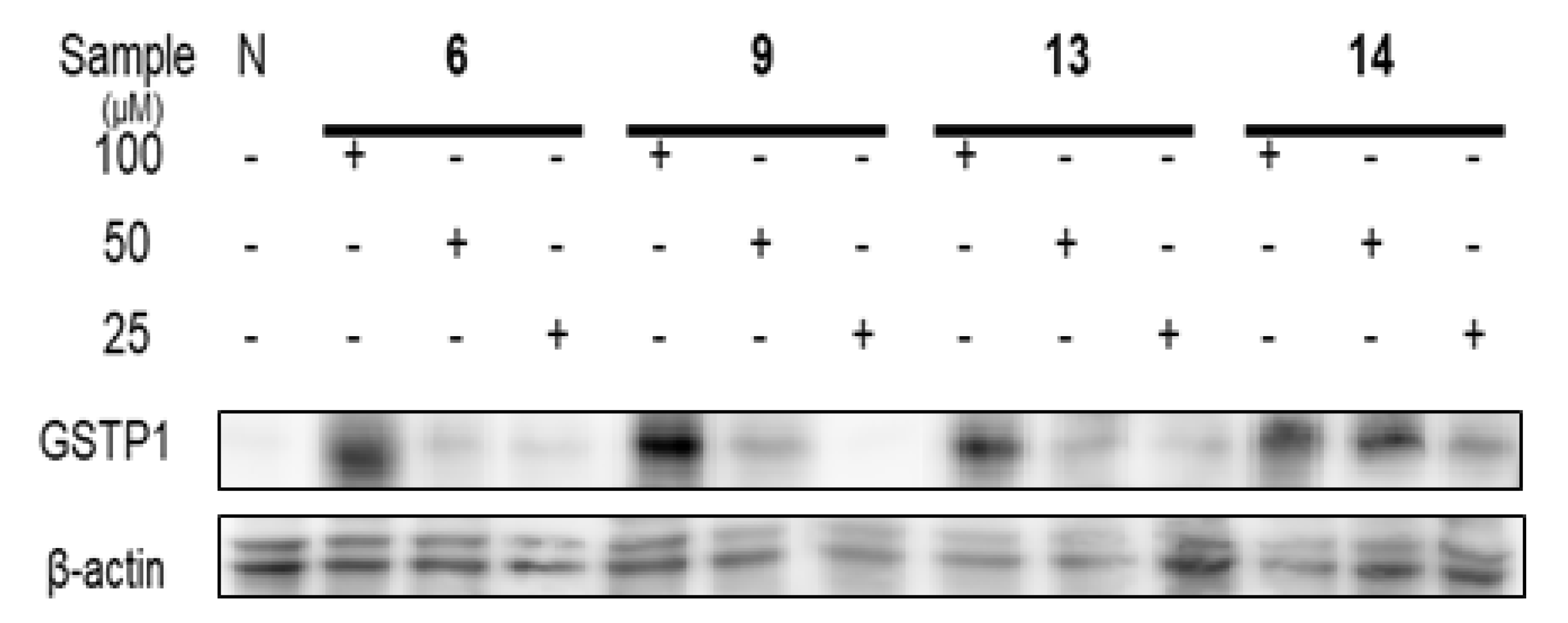 Plants 12 01047 g012