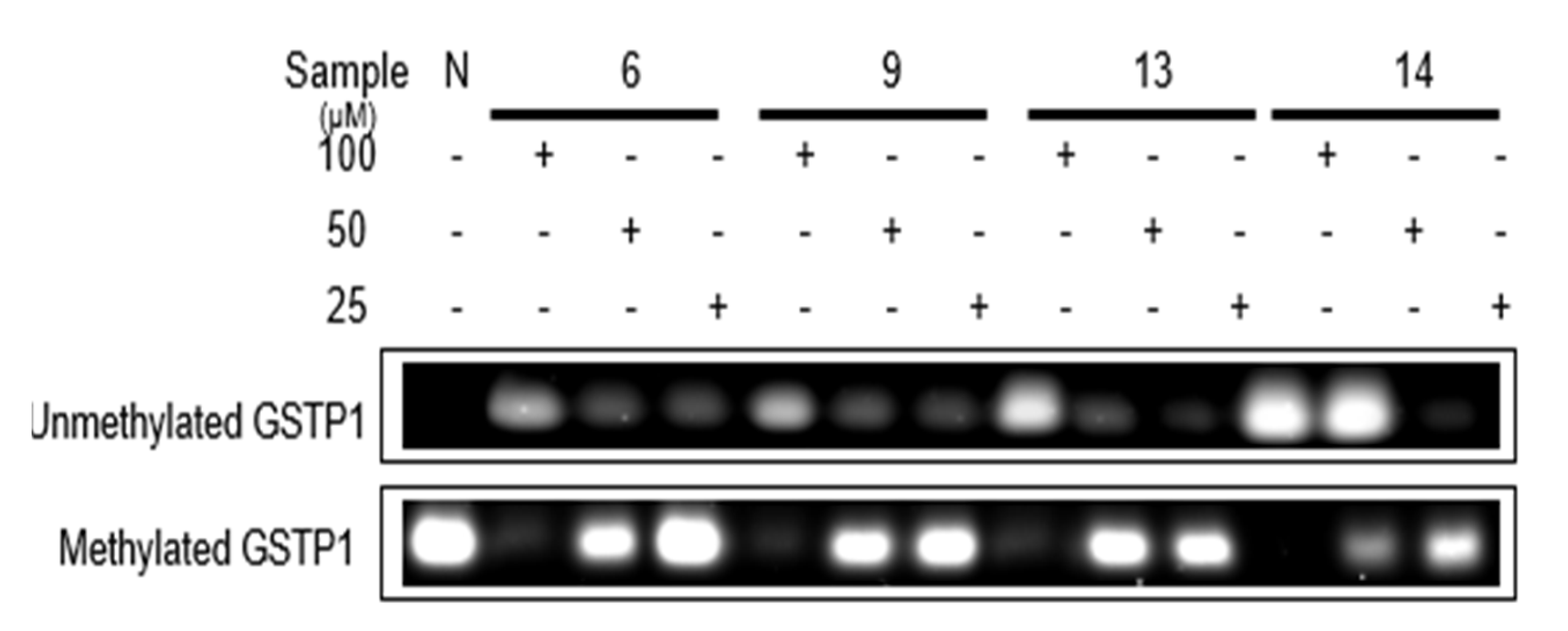 Plants 12 01047 g013
