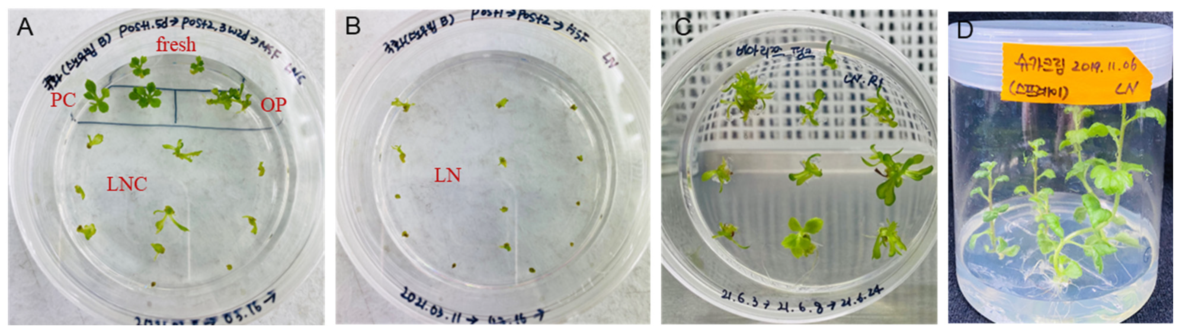 Plants 12 01059 g005 Plants 12 01059 g005