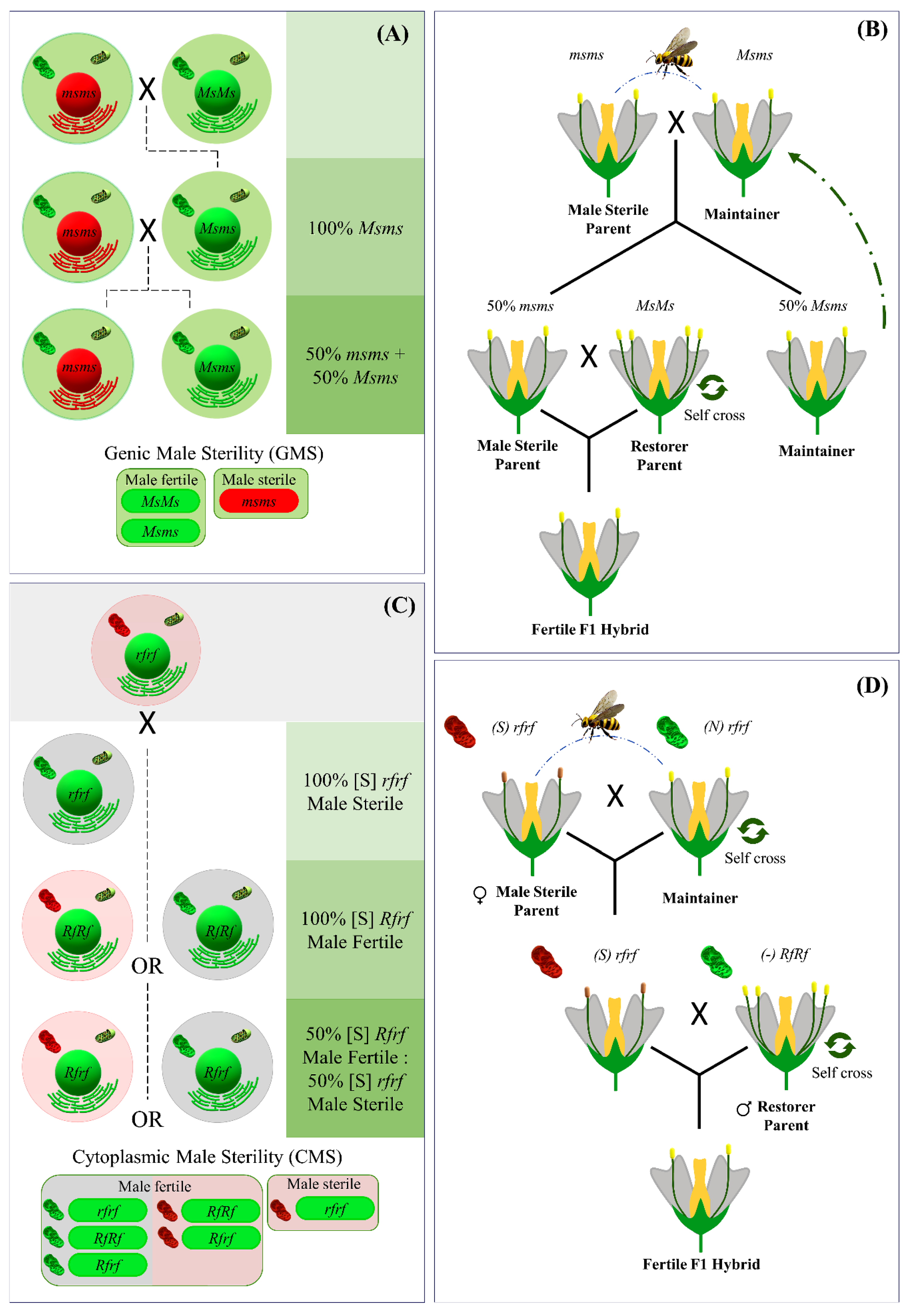 Plants 12 01060 g002 Plants 12 01060 g002