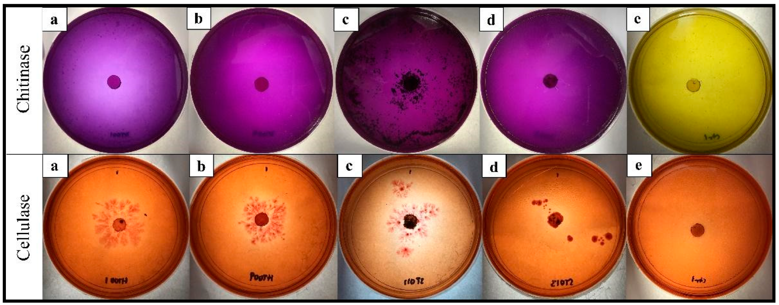 Plants 12 01066 g003