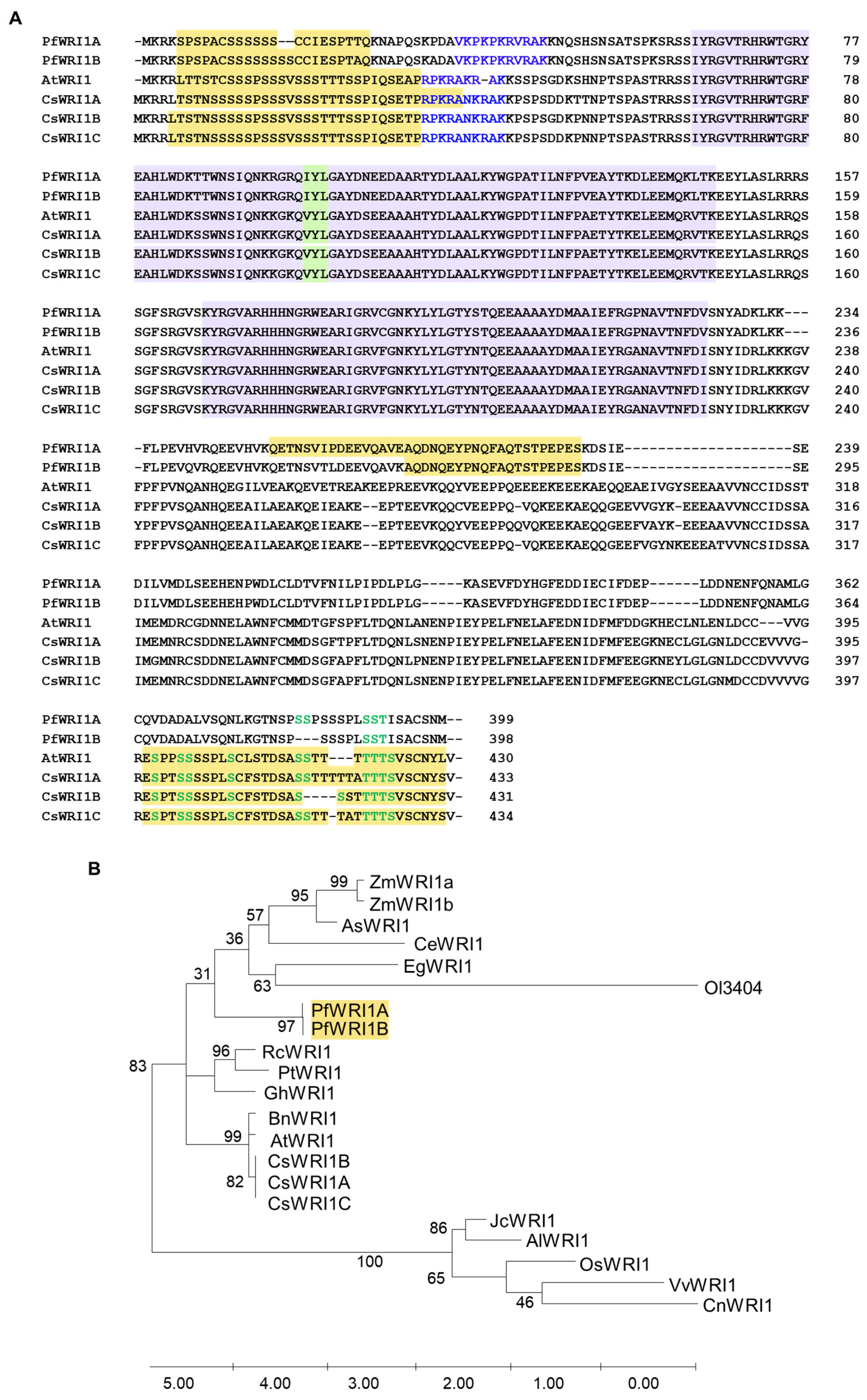 Plants 12 01081 g001 Plants 12 01081 g001