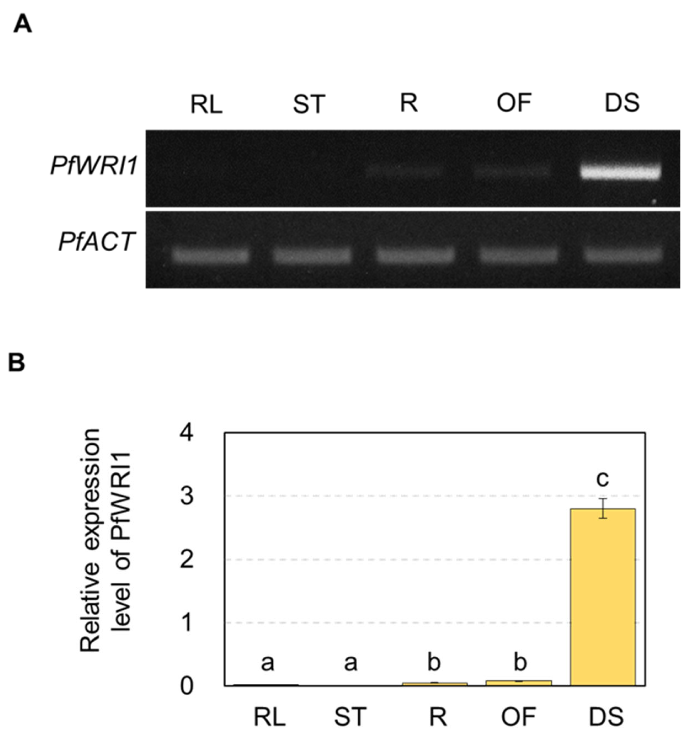 Plants 12 01081 g002 Plants 12 01081 g002