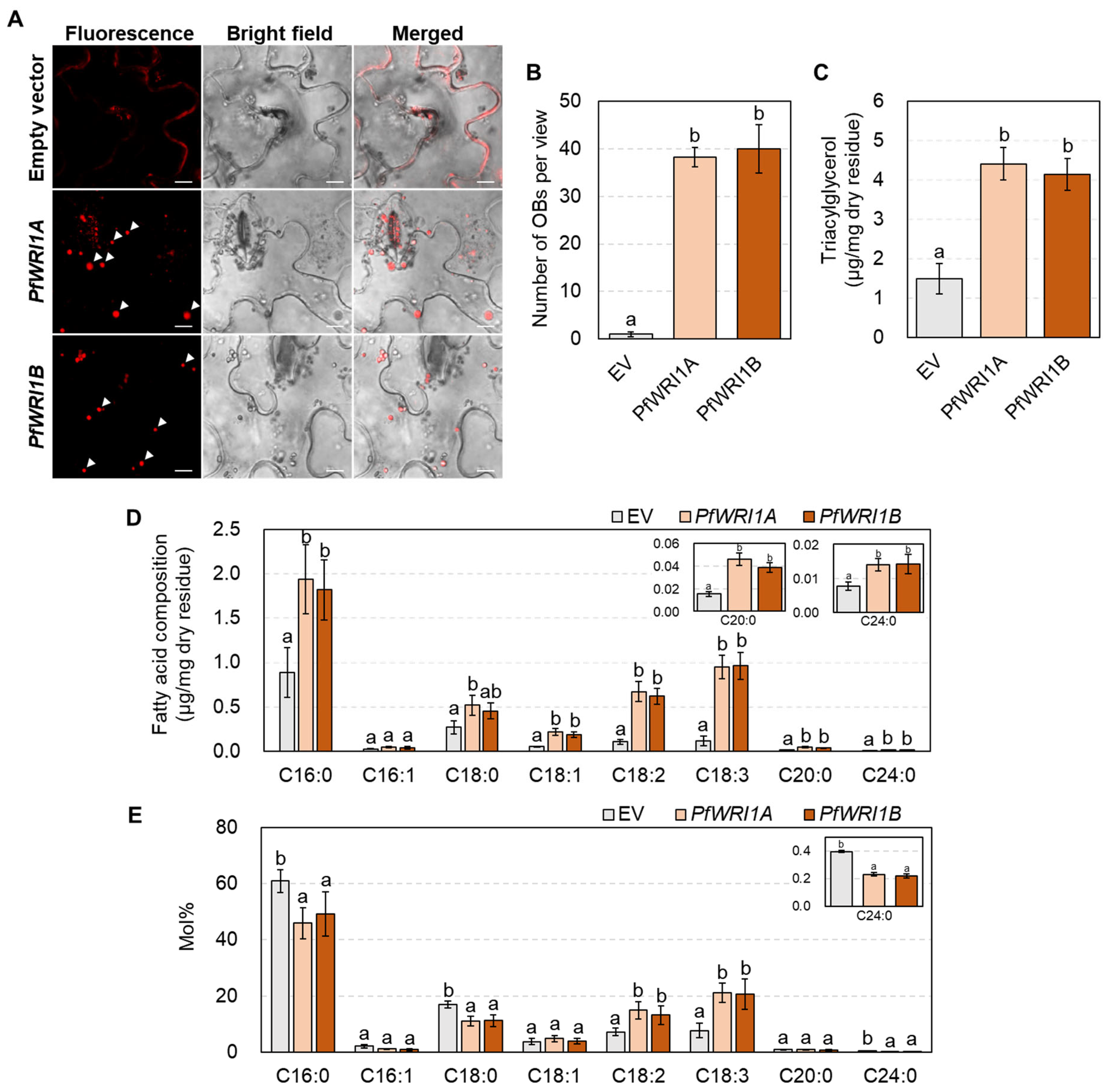 Plants 12 01081 g004 Plants 12 01081 g004