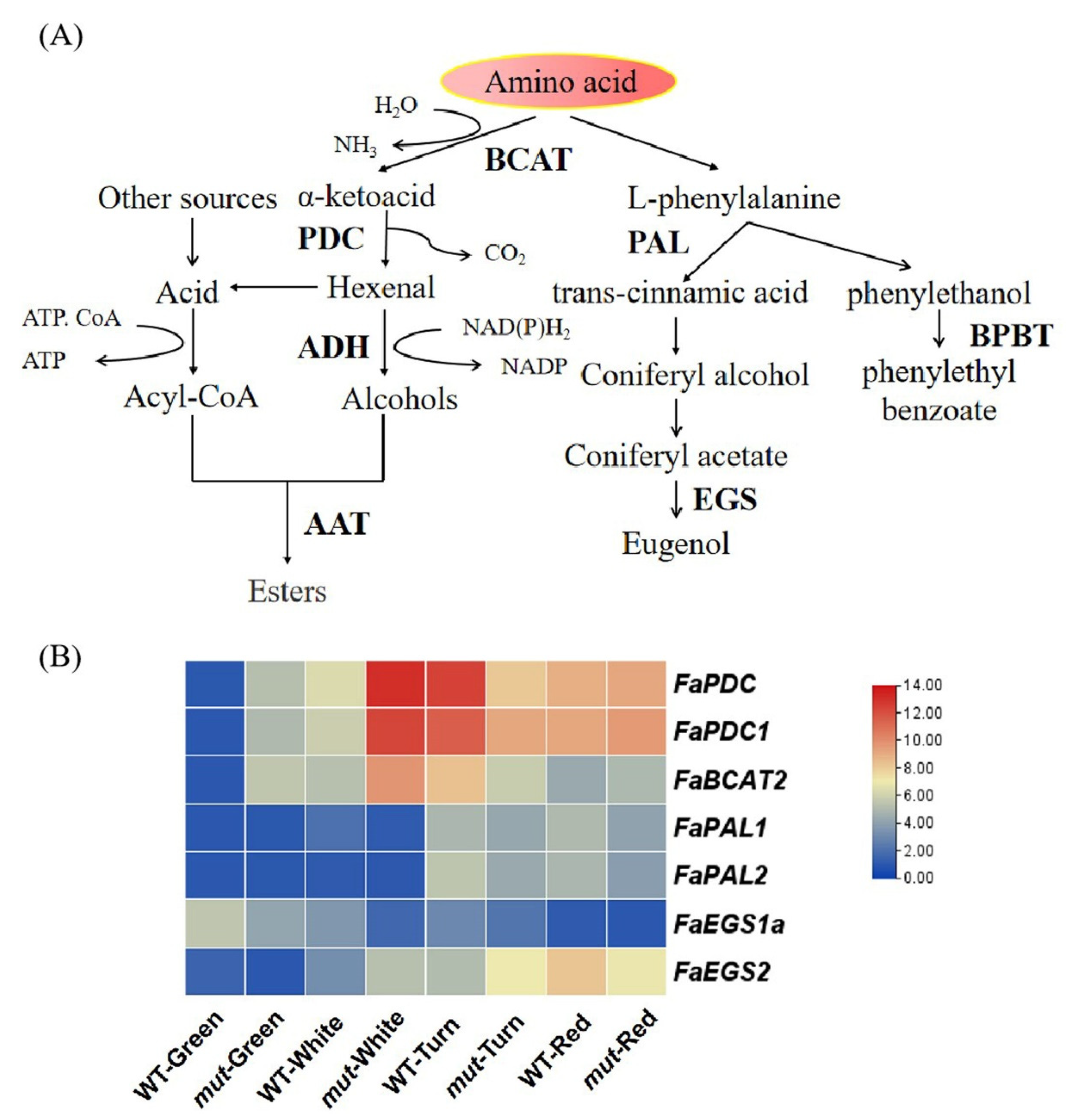 Plants 12 01109 g005 Plants 12 01109 g005