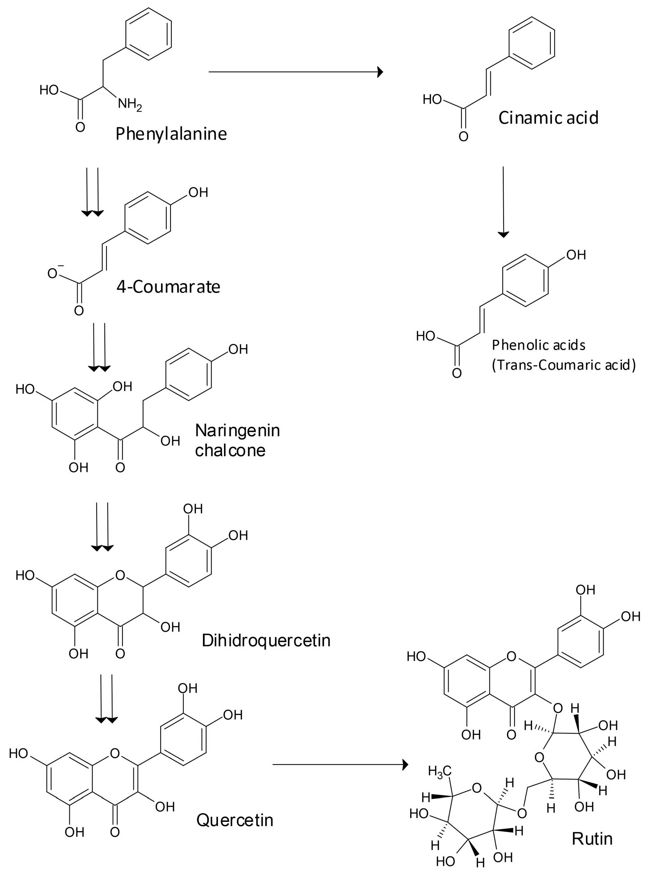 Plants 12 01122 g001 Plants 12 01122 g001
