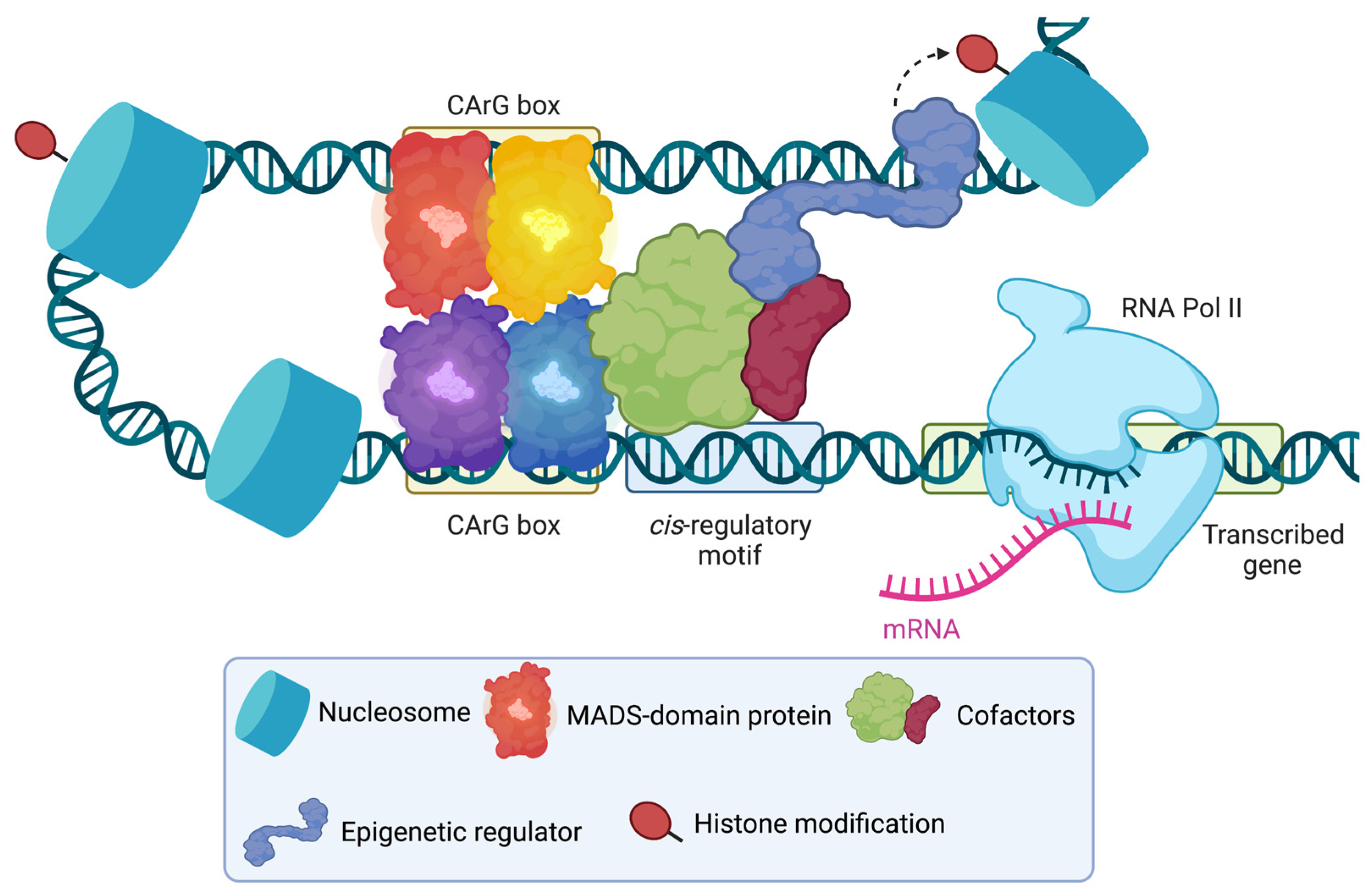 Plants 12 01128 g002 Plants 12 01128 g002