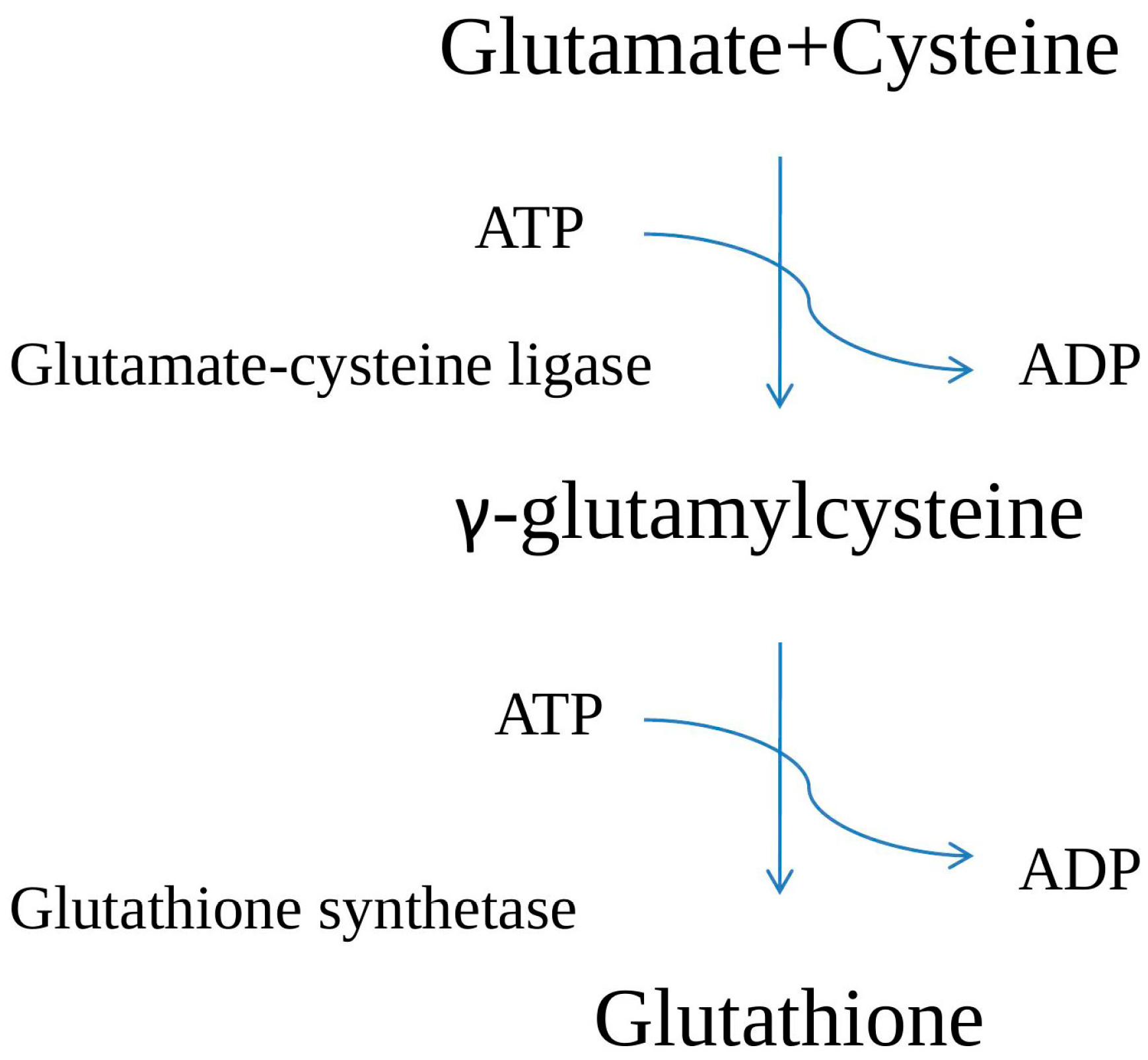 Plants 12 01133 g002 Plants 12 01133 g002
