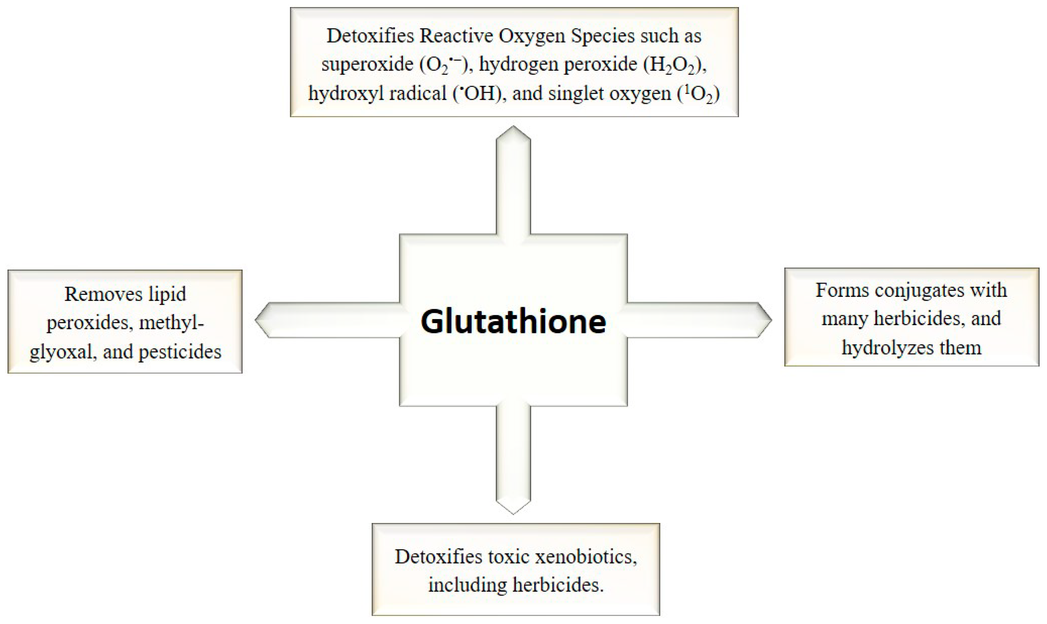Plants 12 01133 g004 Plants 12 01133 g004