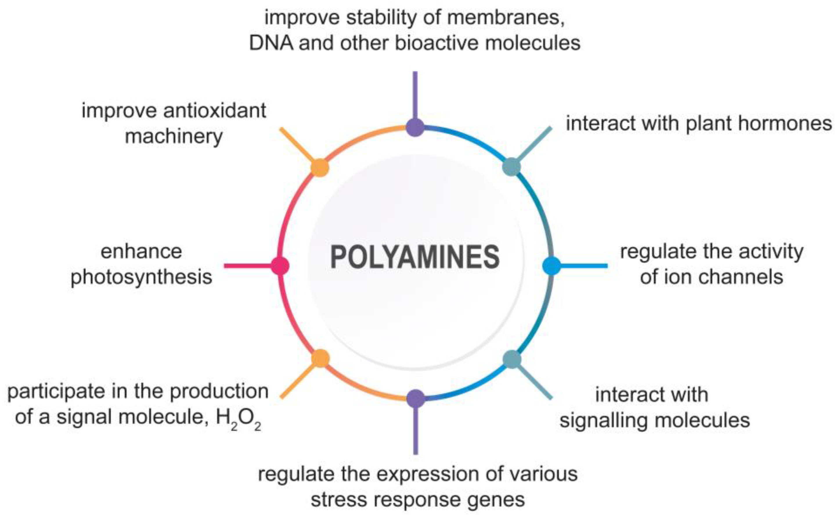 Plants 12 01159 g001 Plants 12 01159 g001