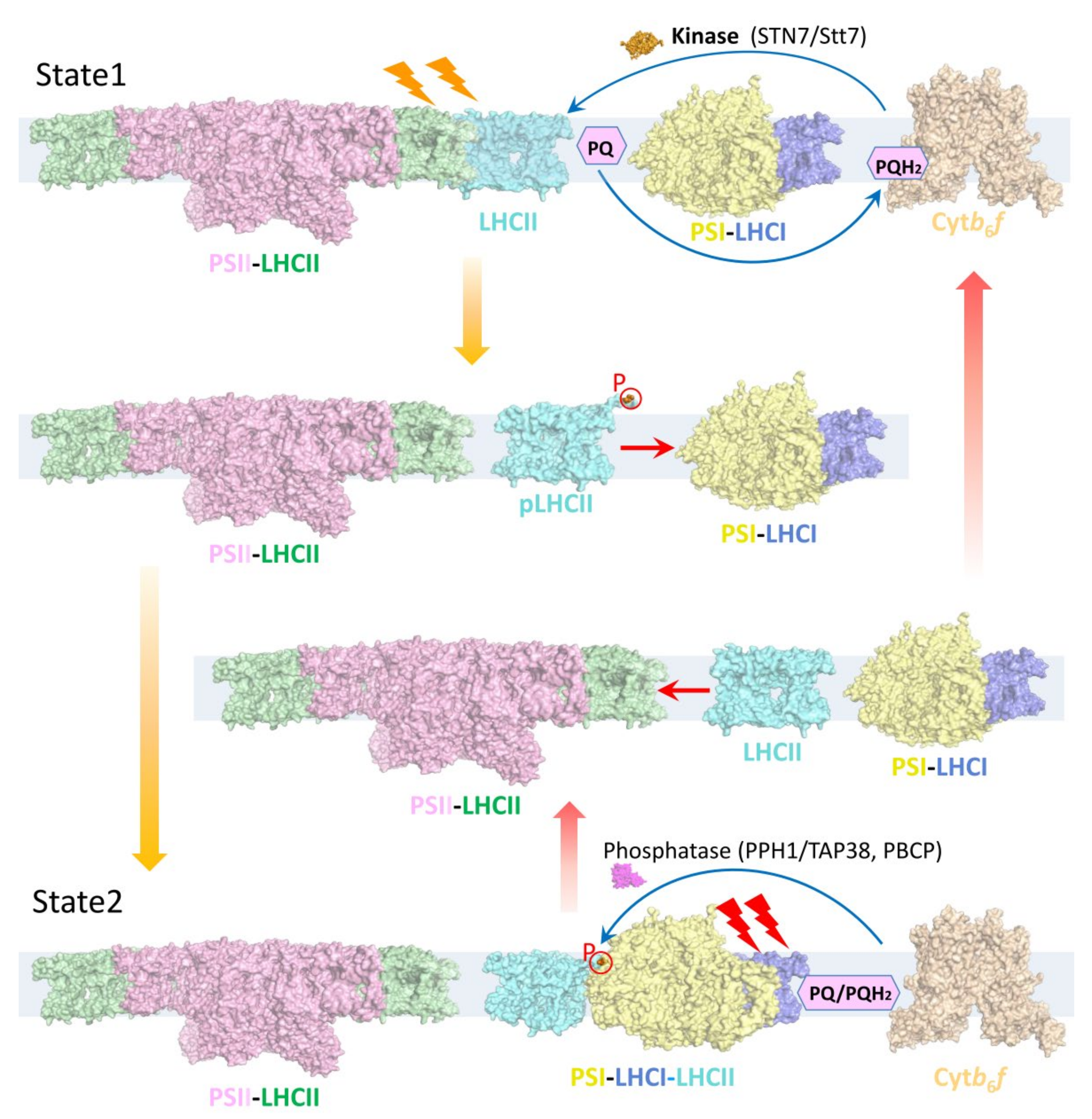Plants 12 01173 g001 Plants 12 01173 g001