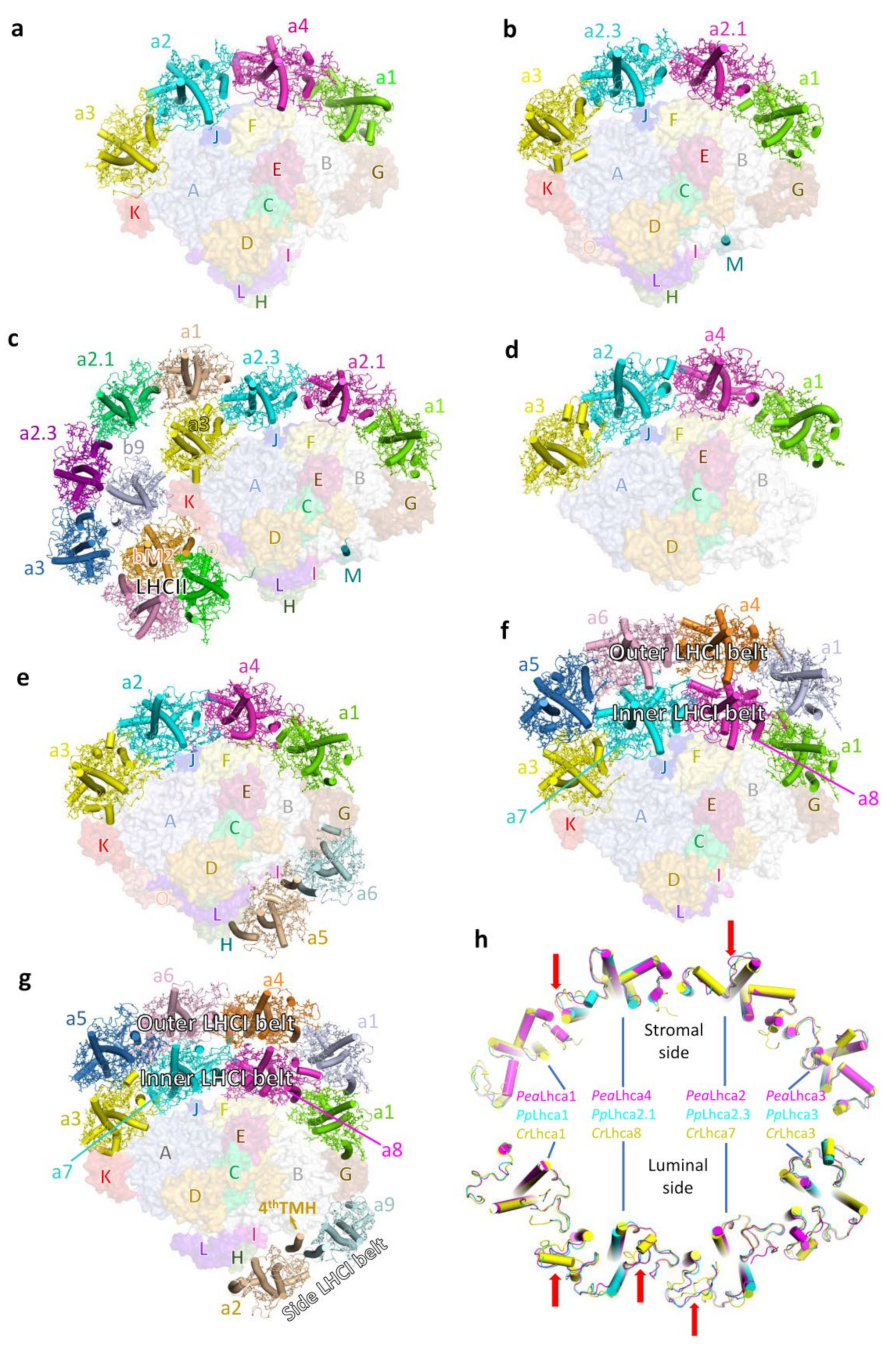 Plants 12 01173 g002 Plants 12 01173 g002
