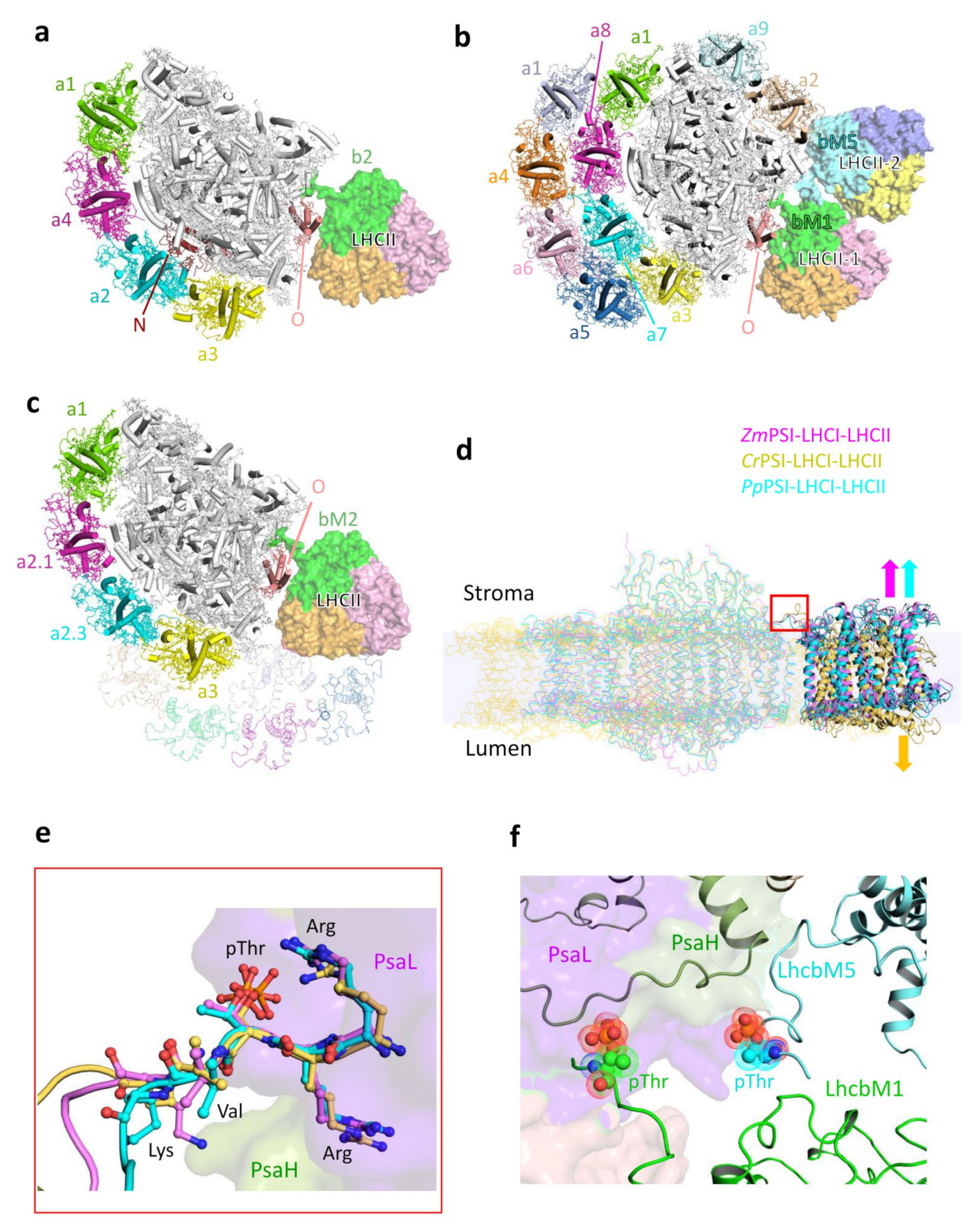 Plants 12 01173 g003 Plants 12 01173 g003