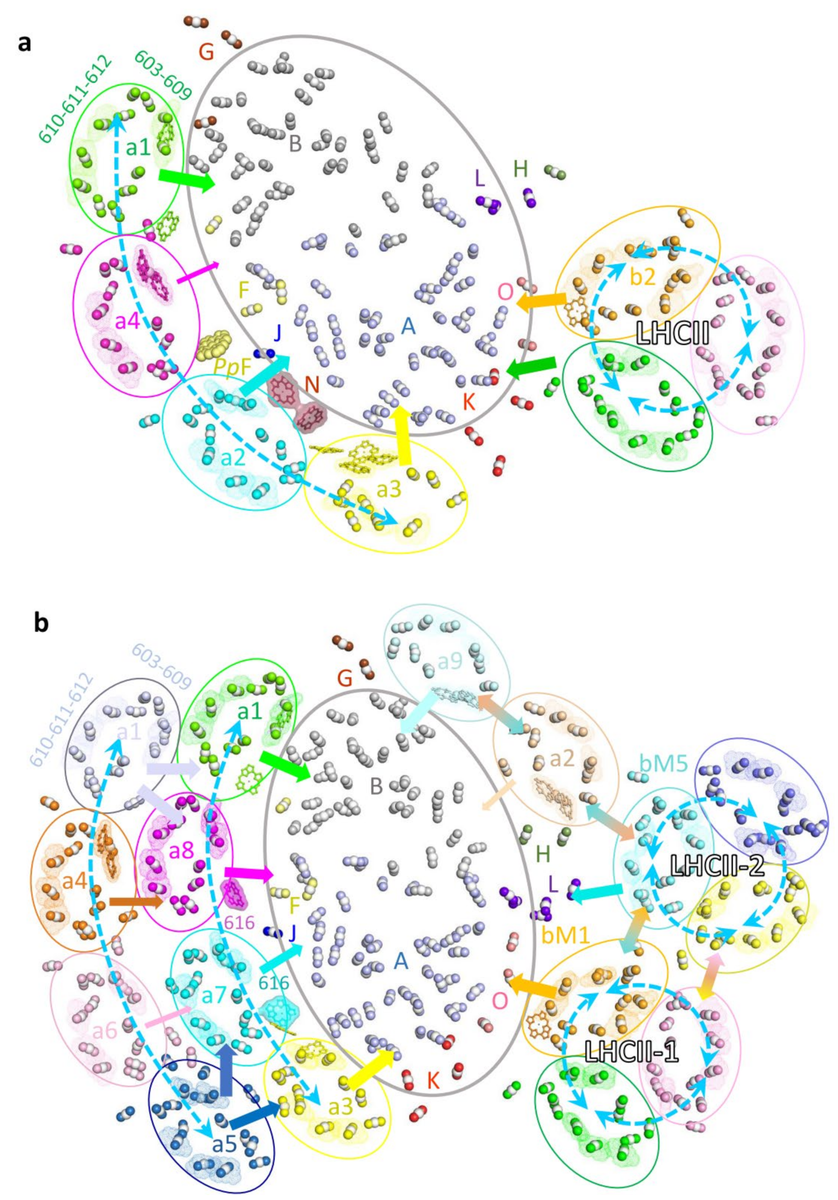 Plants 12 01173 g004 Plants 12 01173 g004