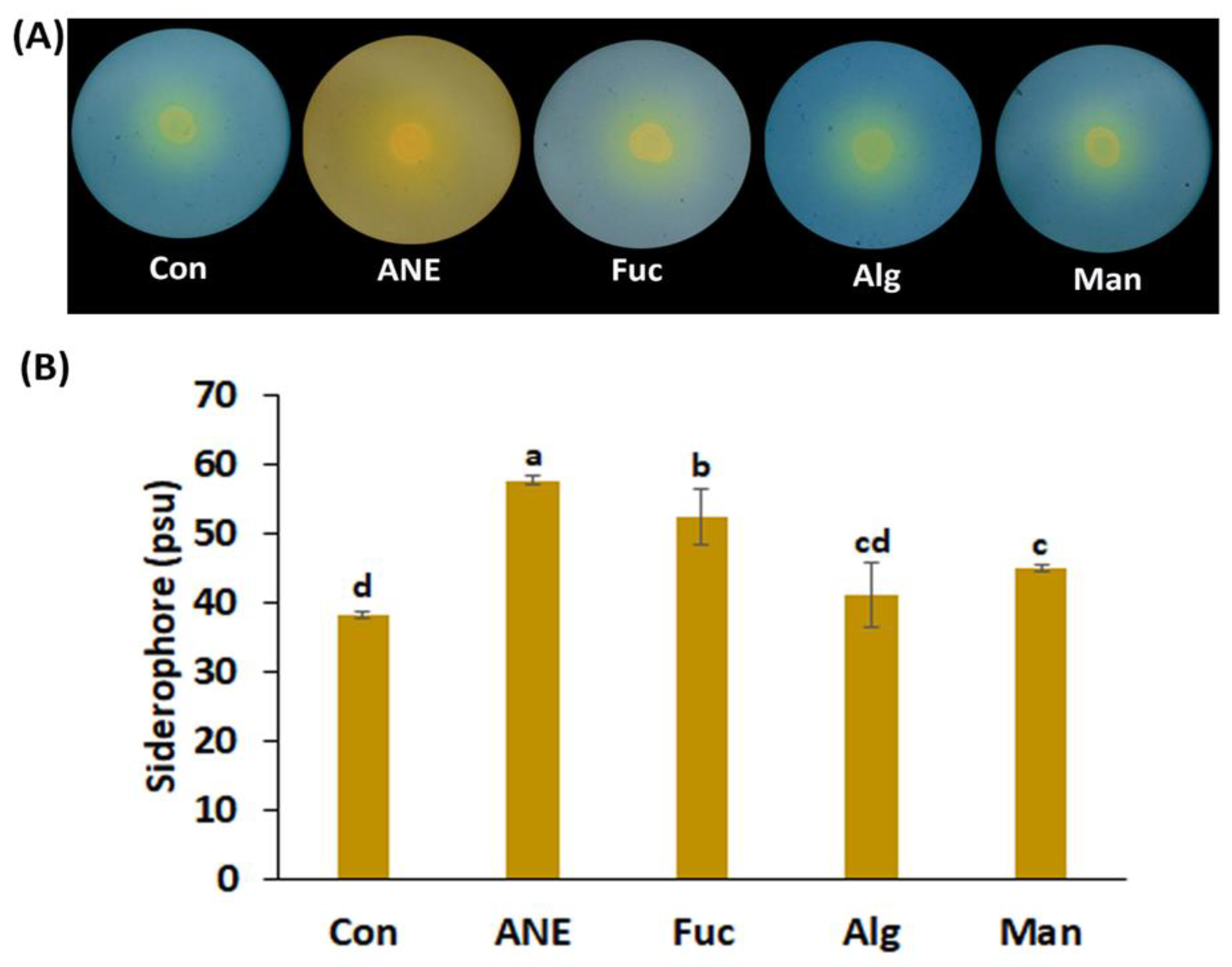Plants 12 01208 g001 Plants 12 01208 g001