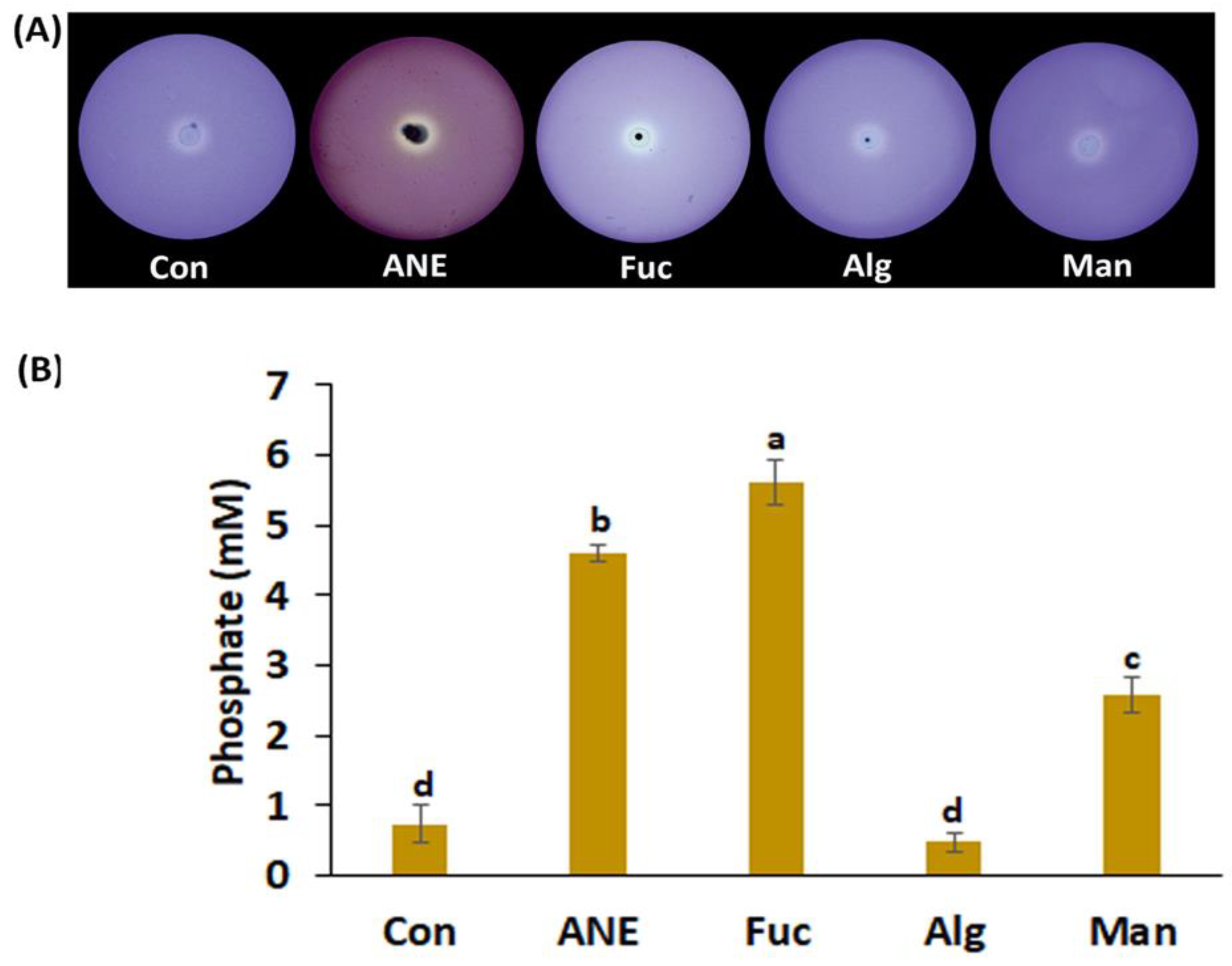 Plants 12 01208 g002 Plants 12 01208 g002