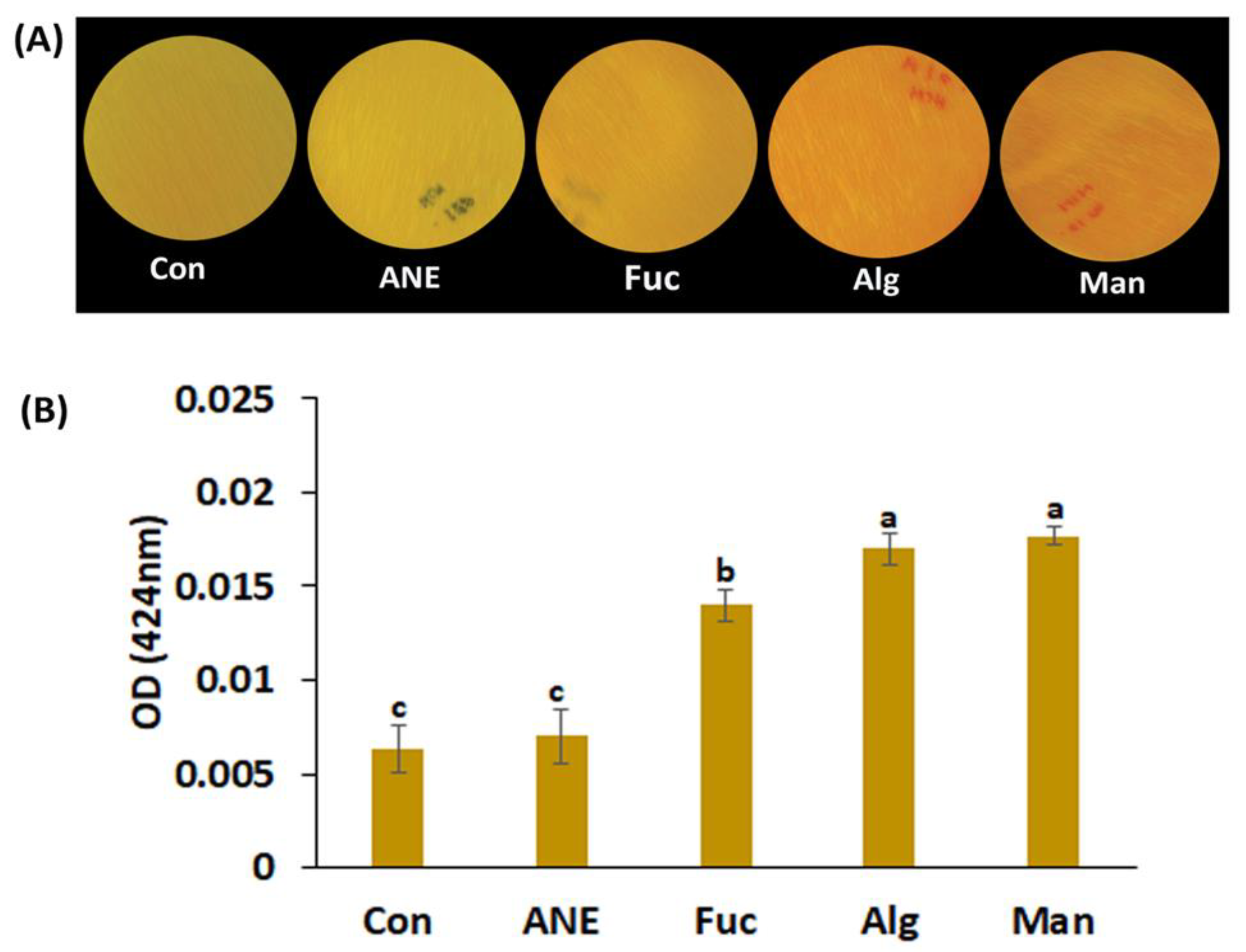 Plants 12 01208 g003 Plants 12 01208 g003