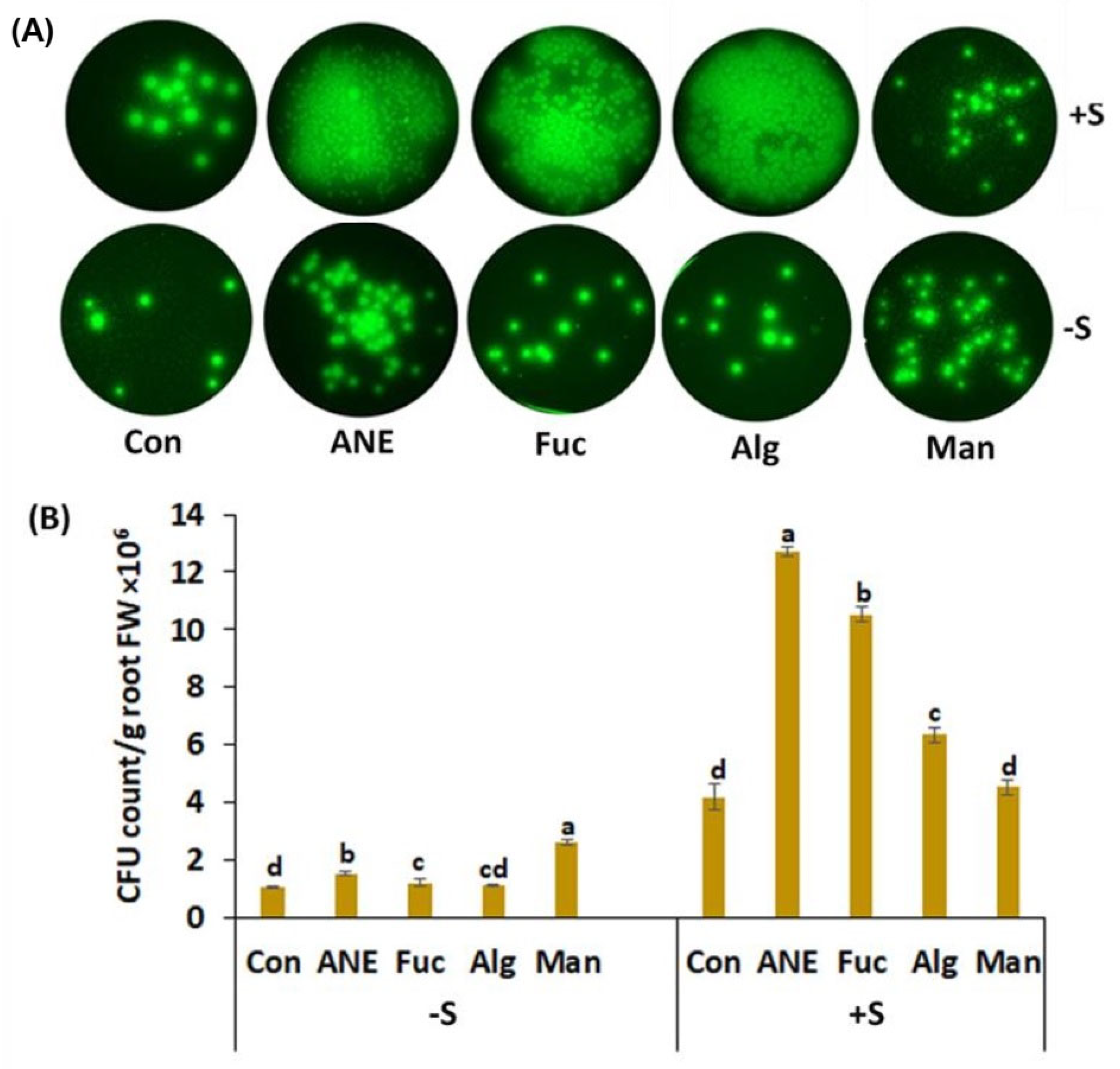 Plants 12 01208 g005 Plants 12 01208 g005