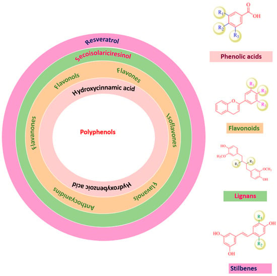 Plants Free FullText Recent Developments in Polyphenol