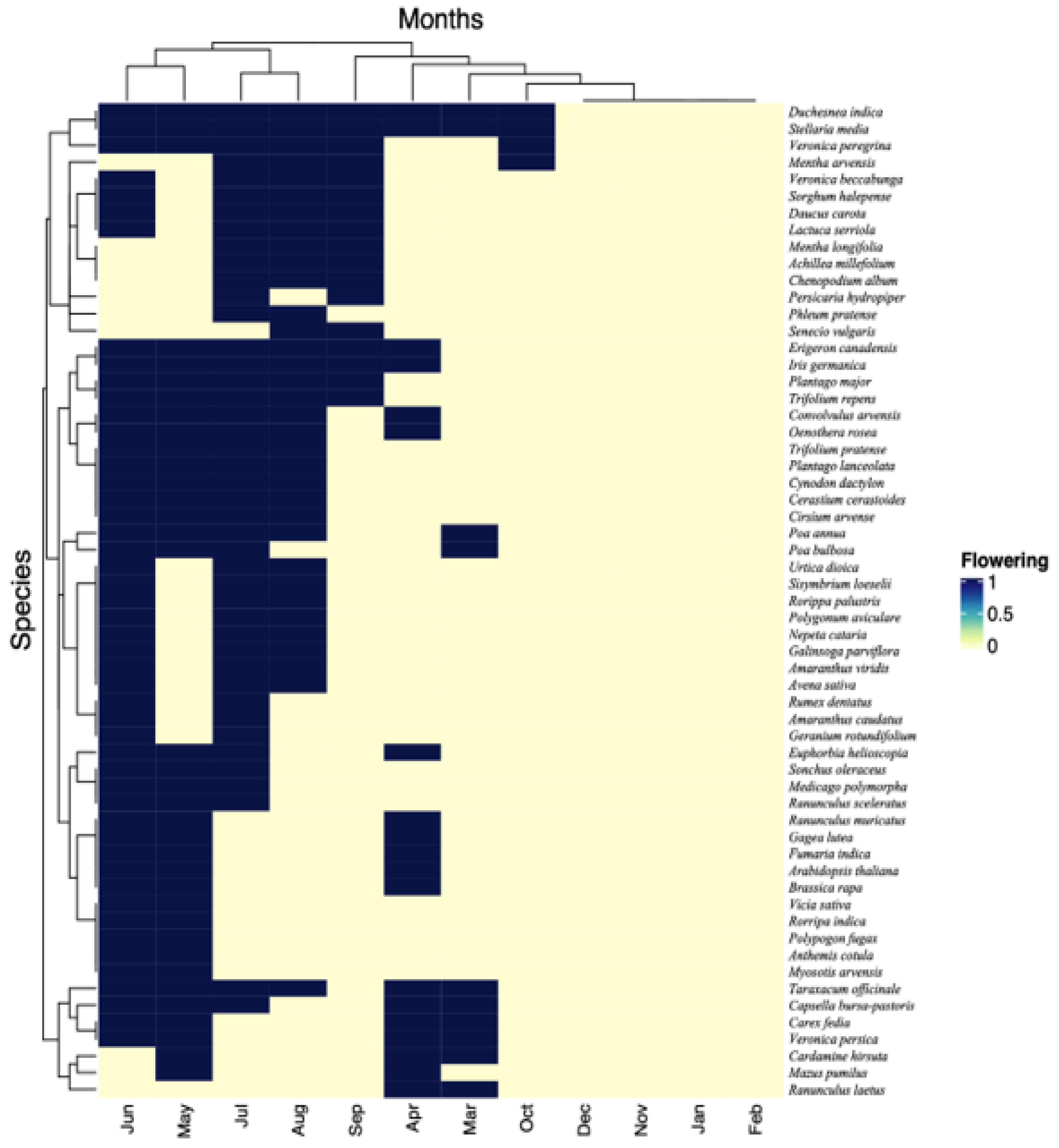 Plants 12 01222 g001 Plants 12 01222 g001