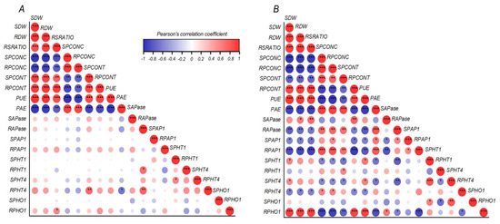 Plants | Free Full-Text | Biochemical and Molecular Responses