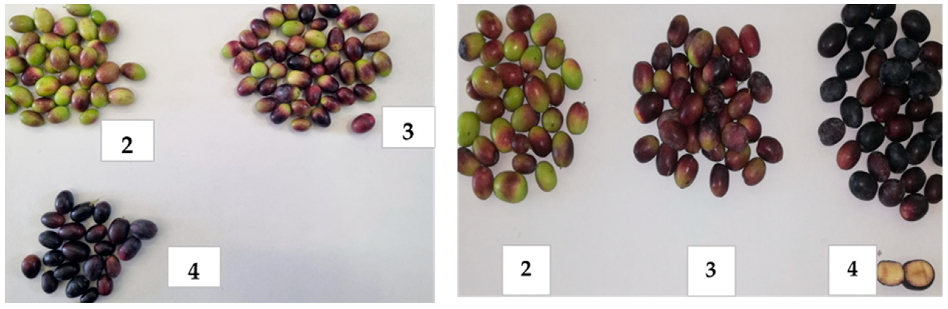 Plants 12 01259 g002