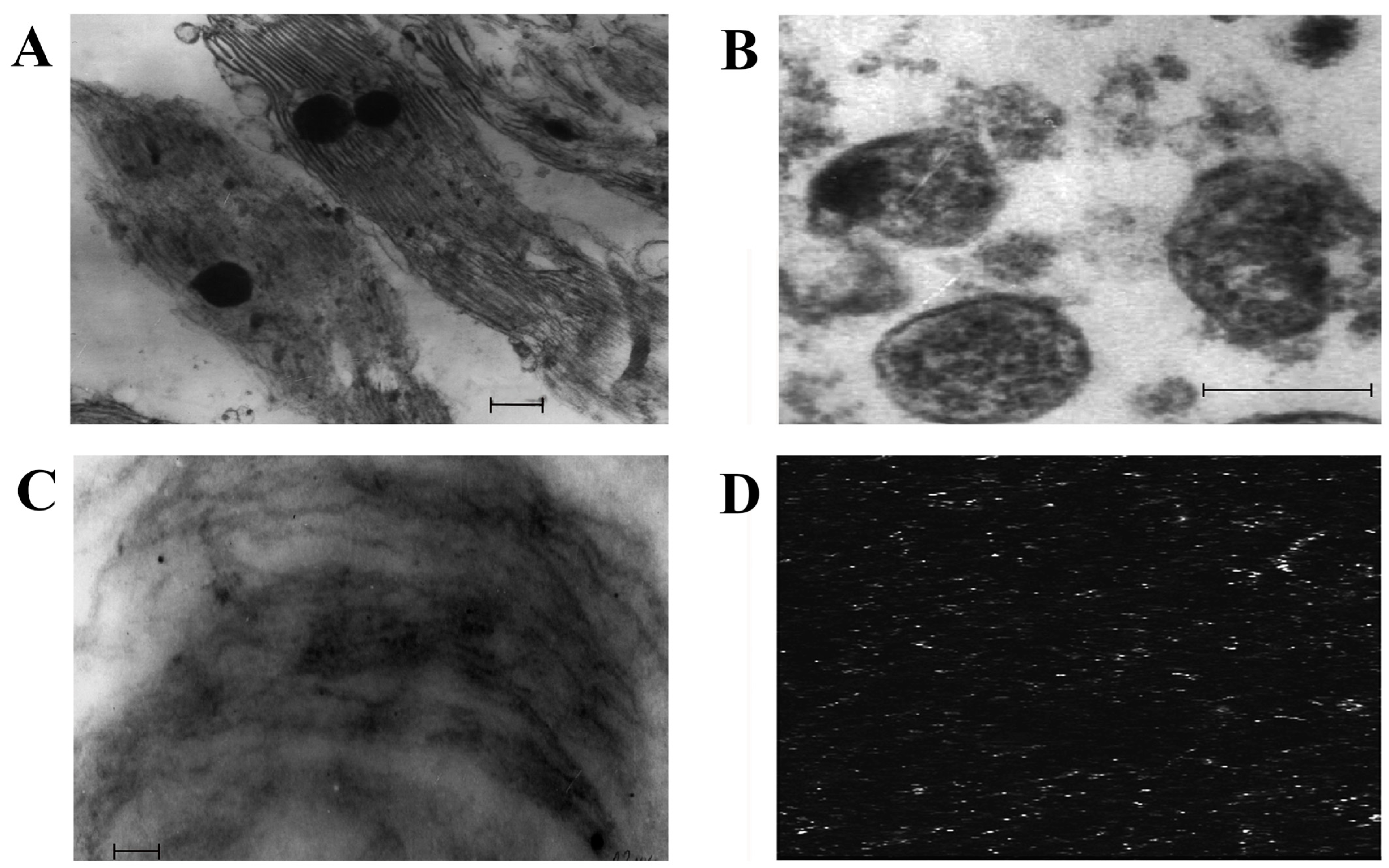 Plants 12 01265 g001 Plants 12 01265 g001