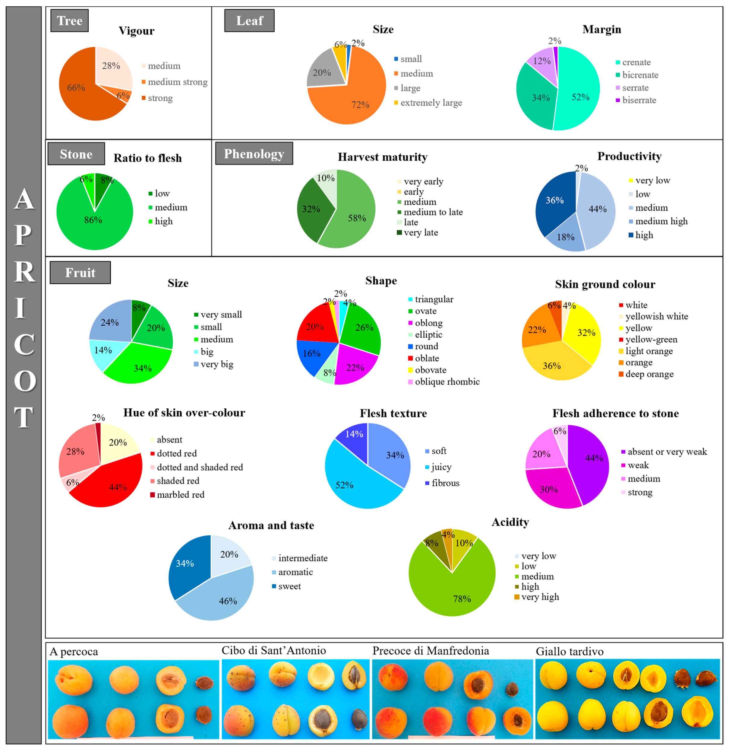 Plants 12 01279 g003 Plants 12 01279 g003