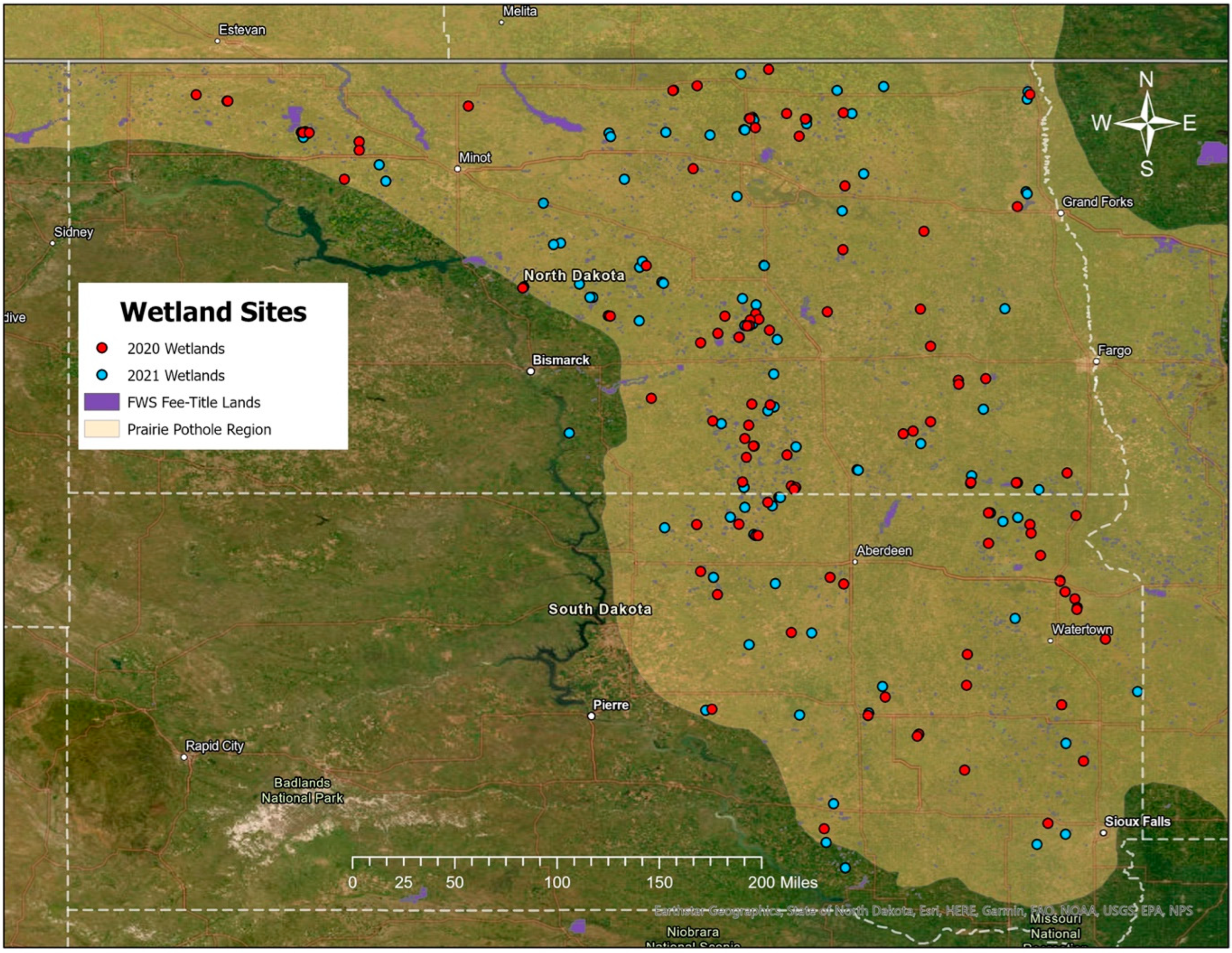 Plants 12 01281 g003