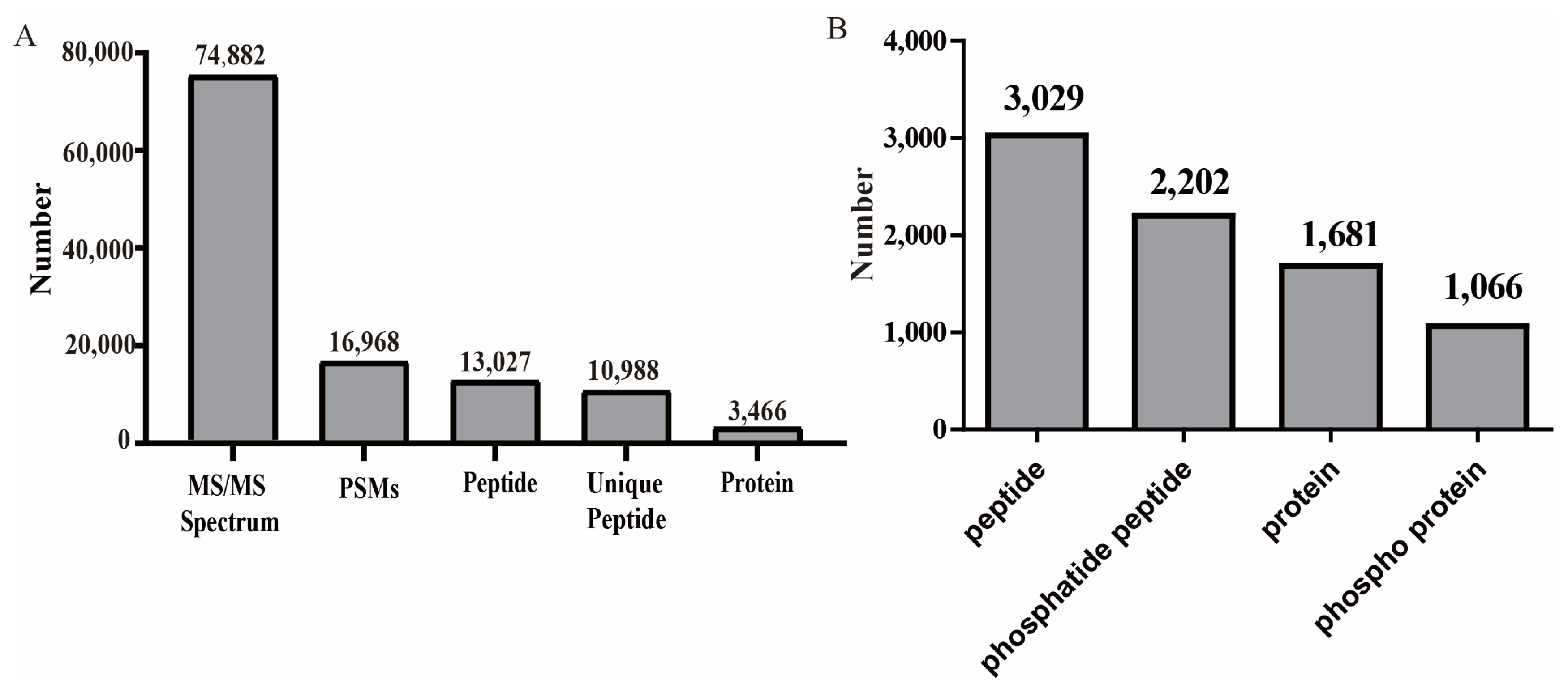 Plants 12 01290 g001