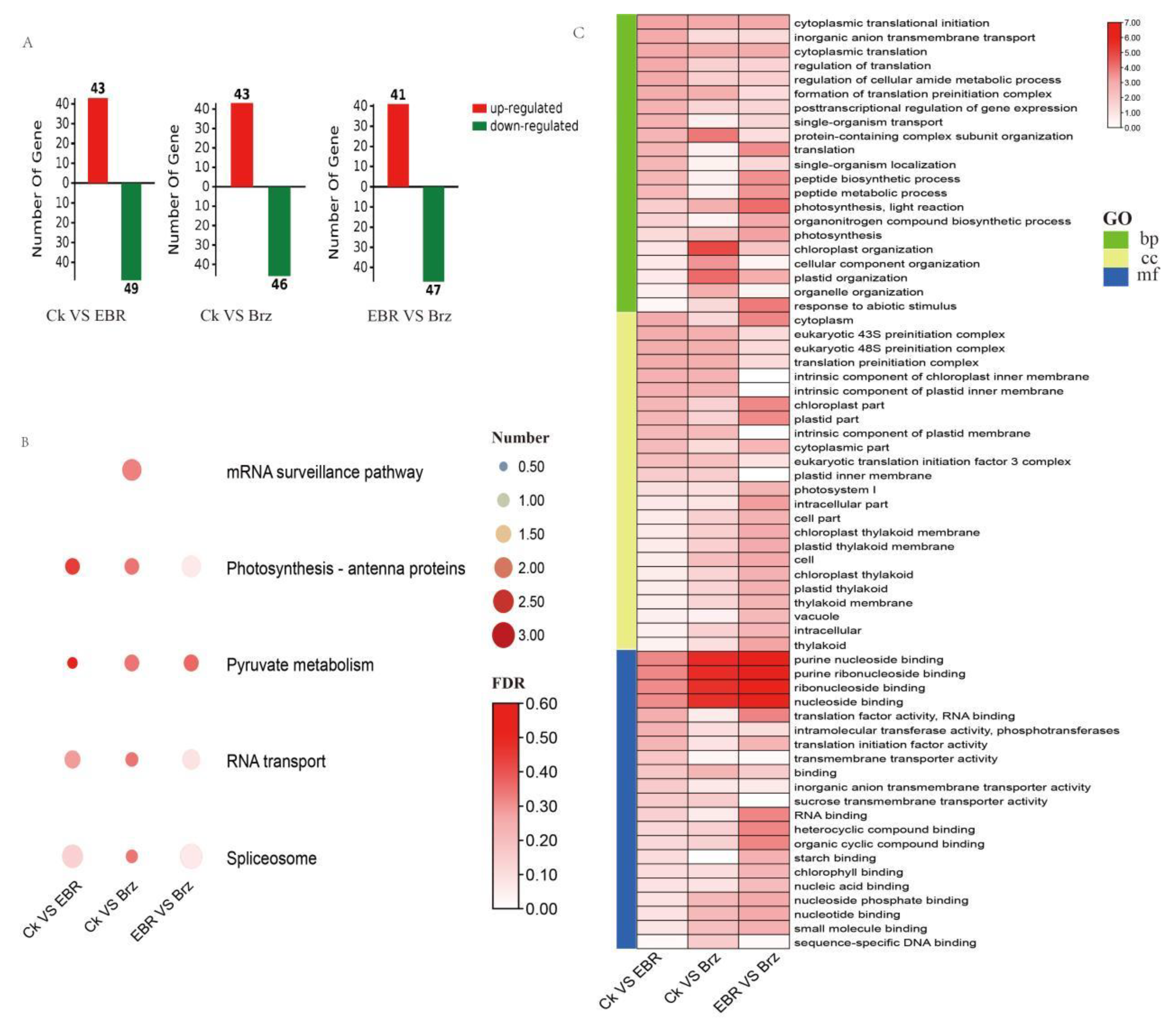 Plants 12 01290 g004