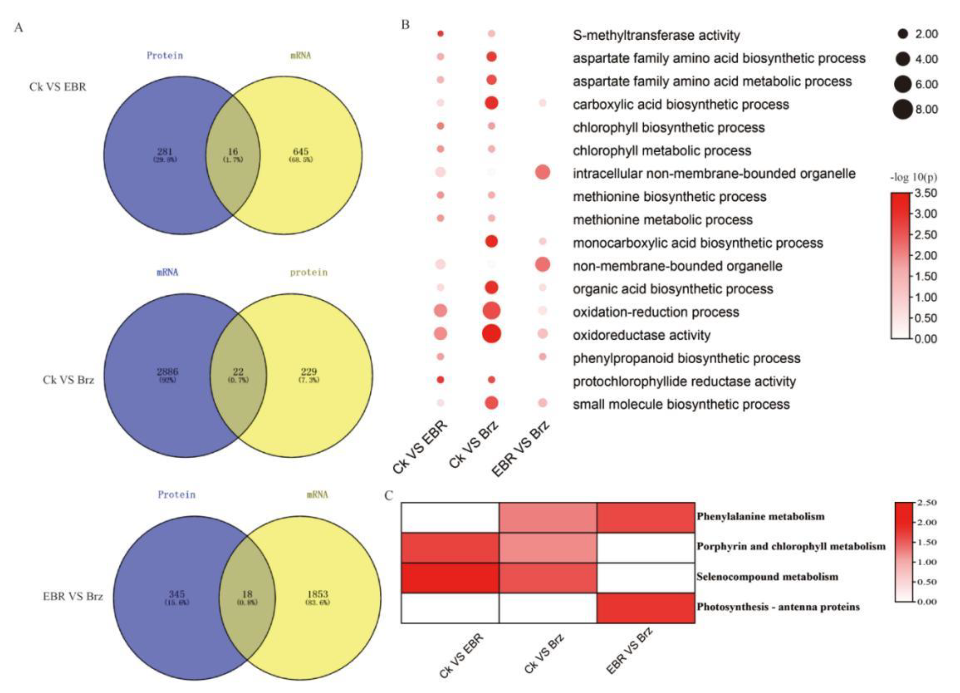 Plants 12 01290 g005