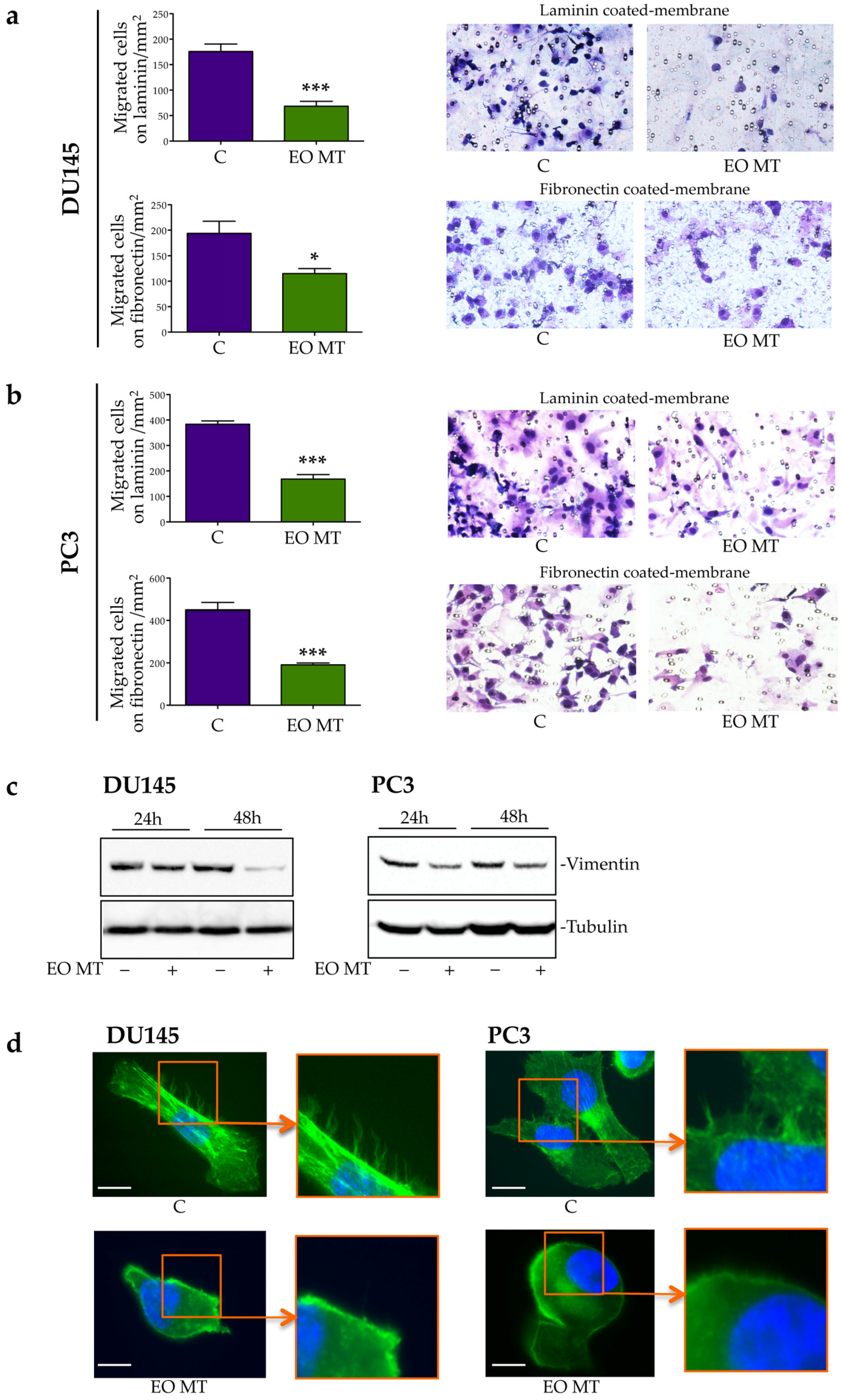 Plants 12 01293 g004