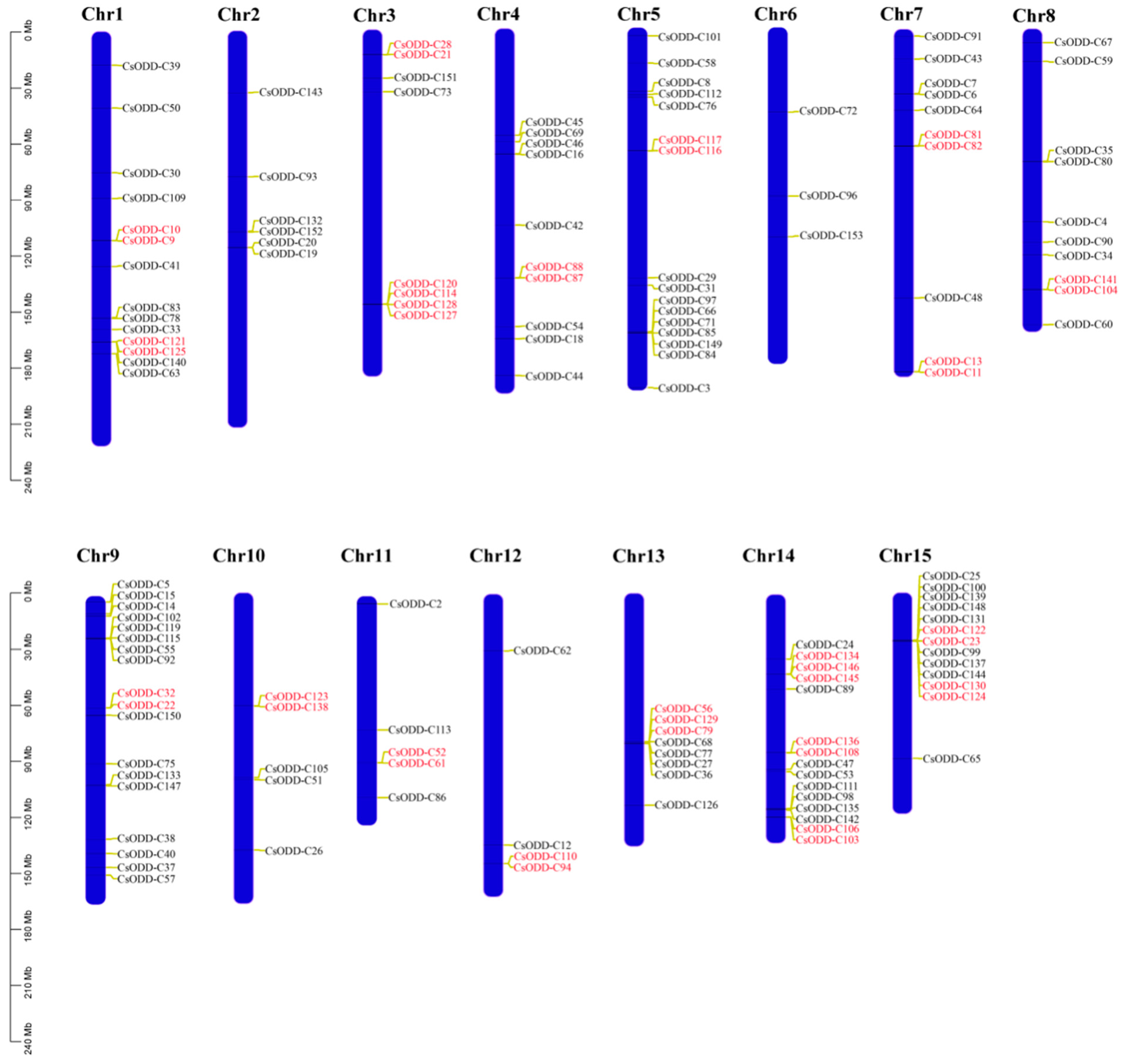 Plants | Free Full-Text | Genome-Wide Identification of 2