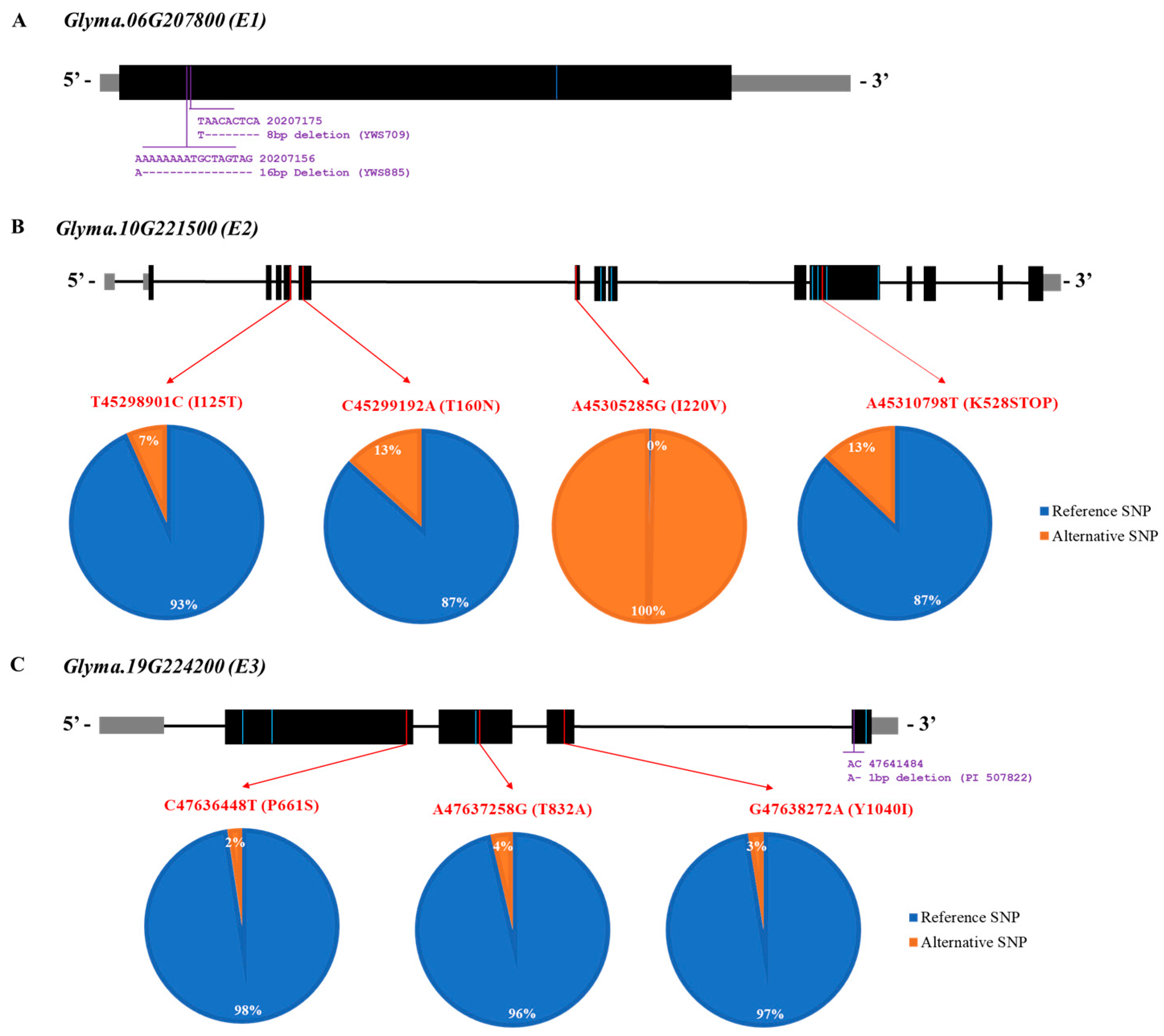 Plants 12 01305 g006 Plants 12 01305 g006