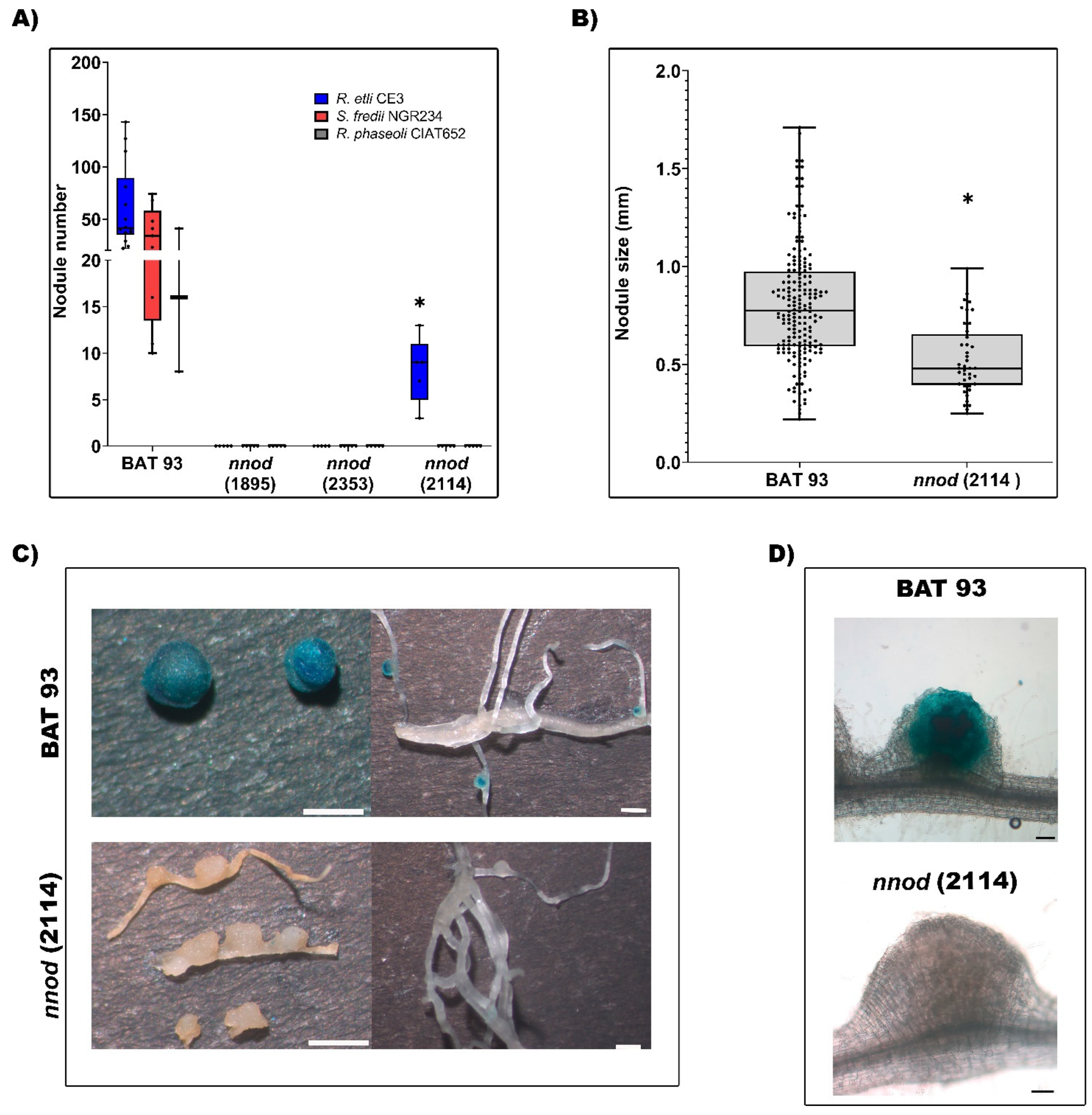 Plants 12 01310 g003