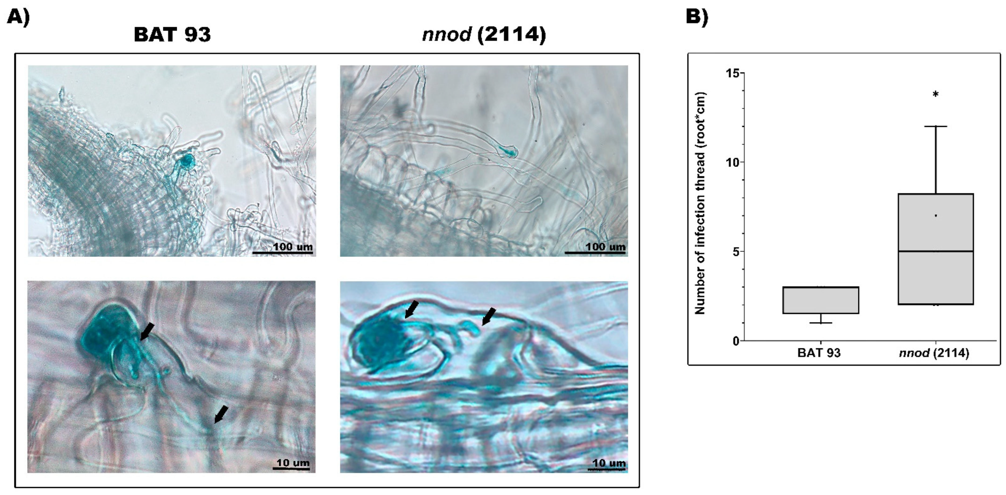 Plants 12 01310 g006