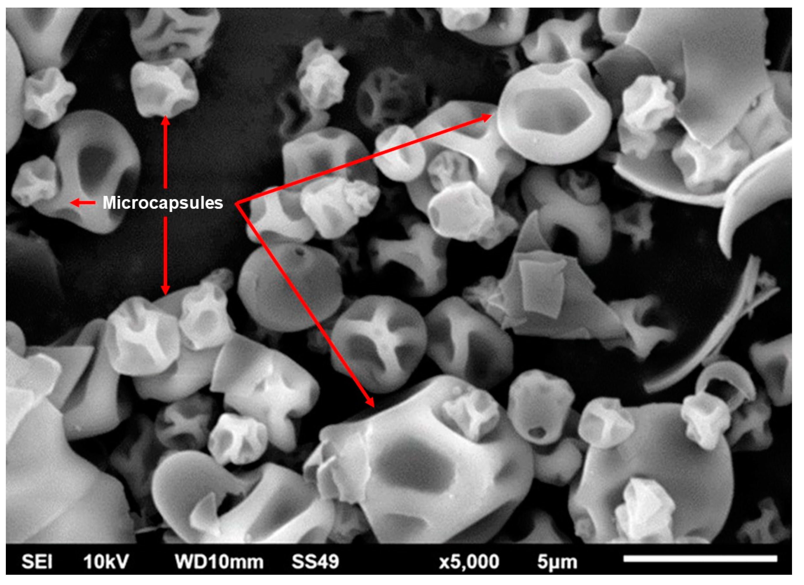 Plants 12 01318 g002