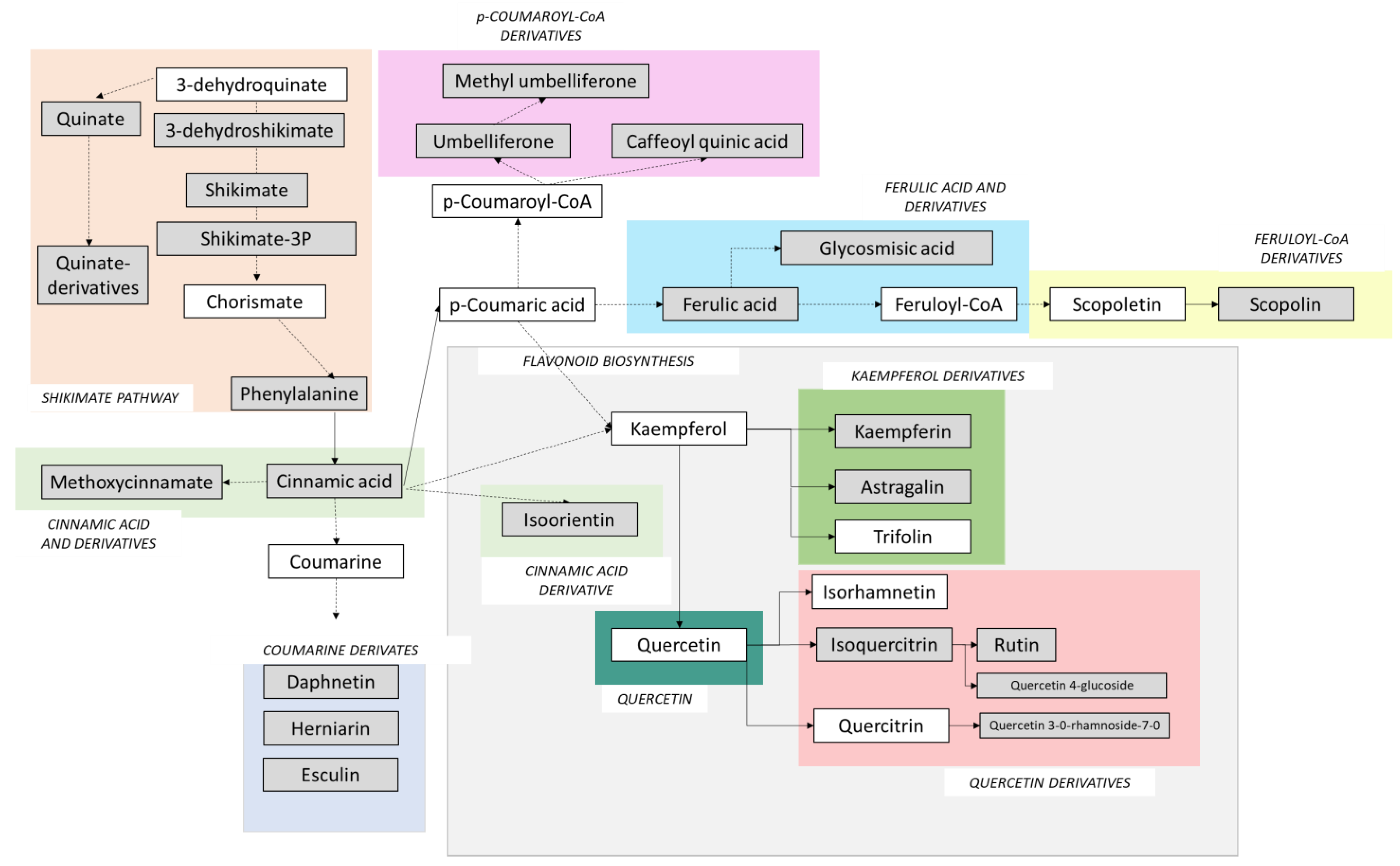Plants 12 01345 g006