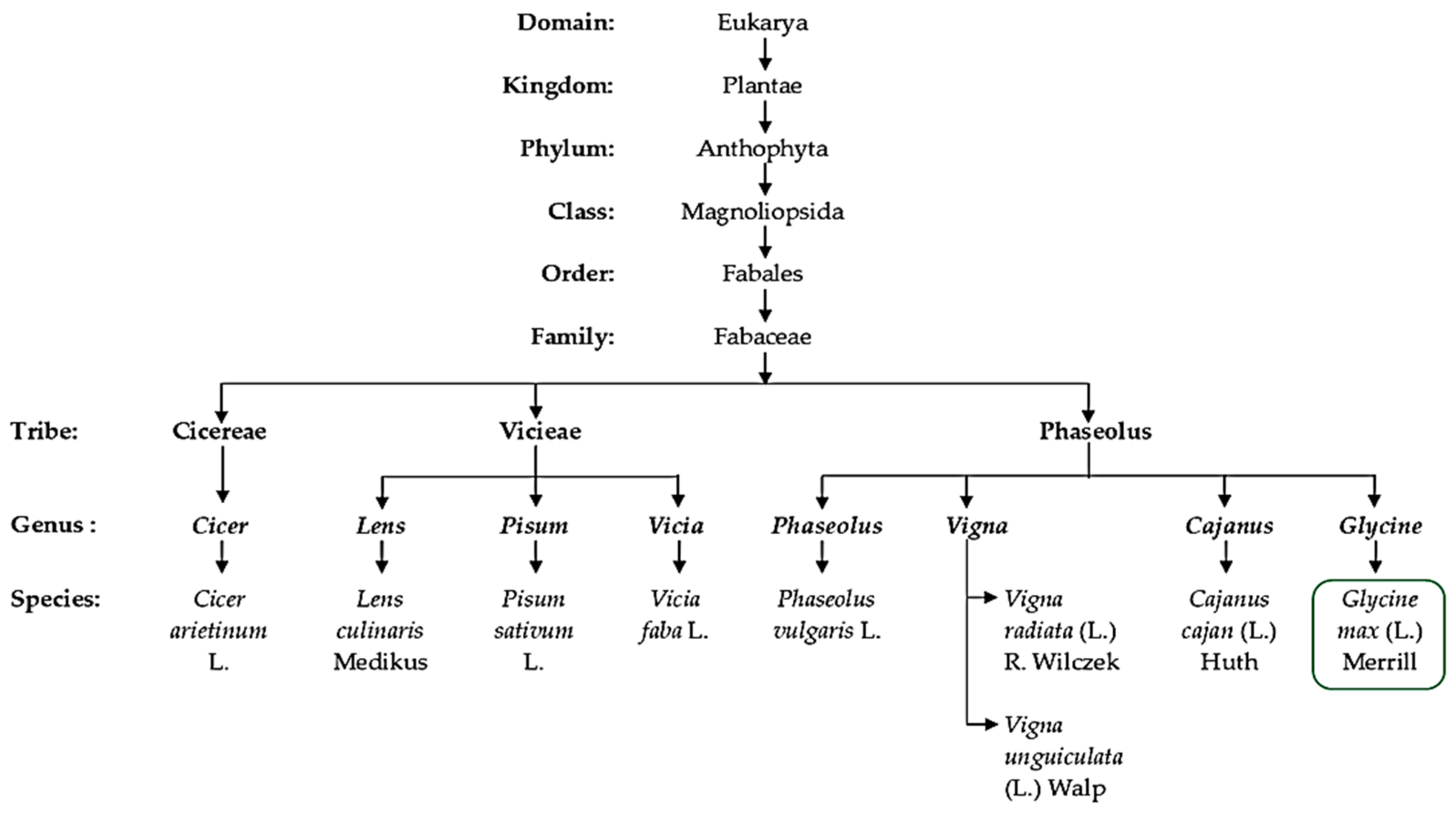 Plants 12 01356 g002 Plants 12 01356 g002