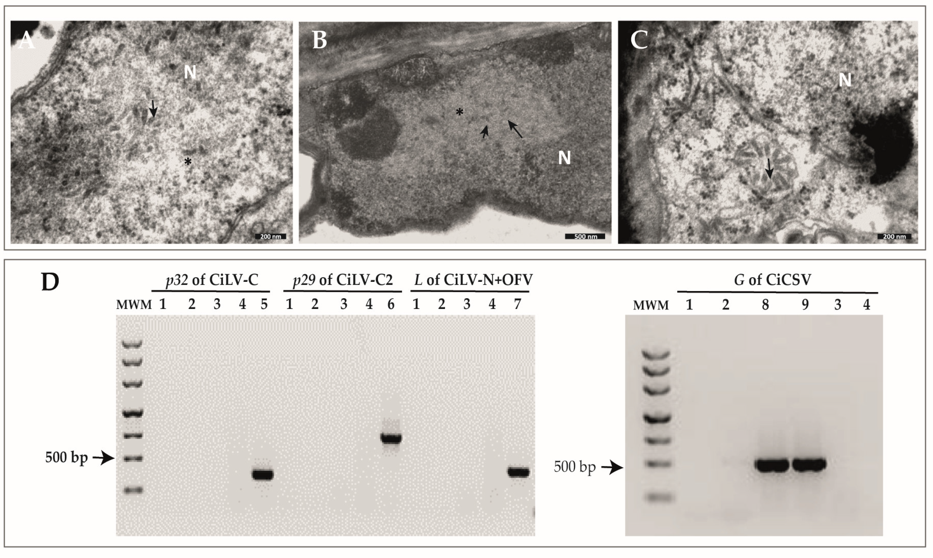 Plants 12 01371 g002