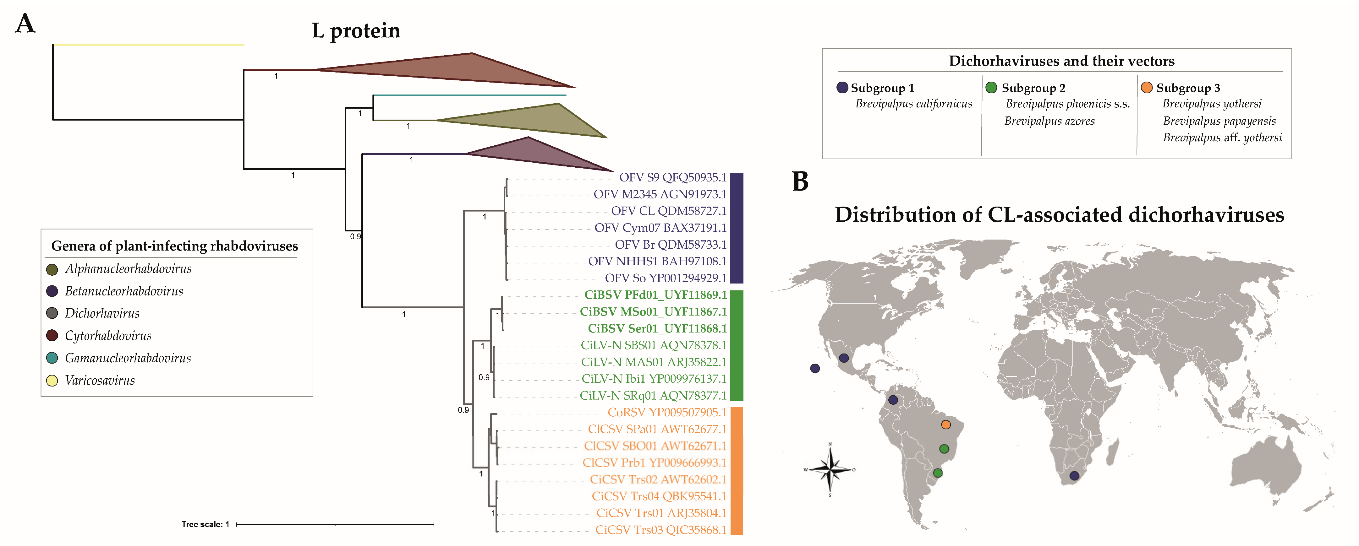 Plants 12 01371 g004