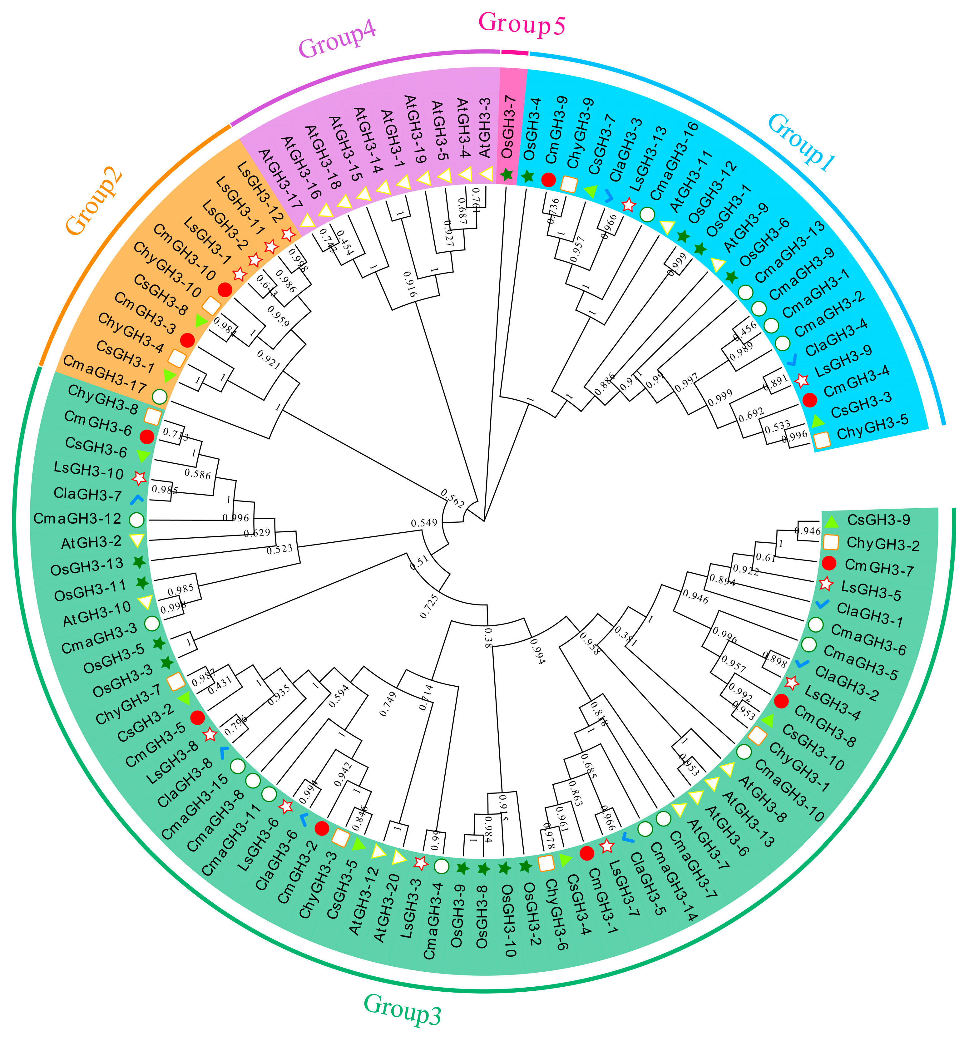 Plants 12 01382 g002 Plants 12 01382 g002