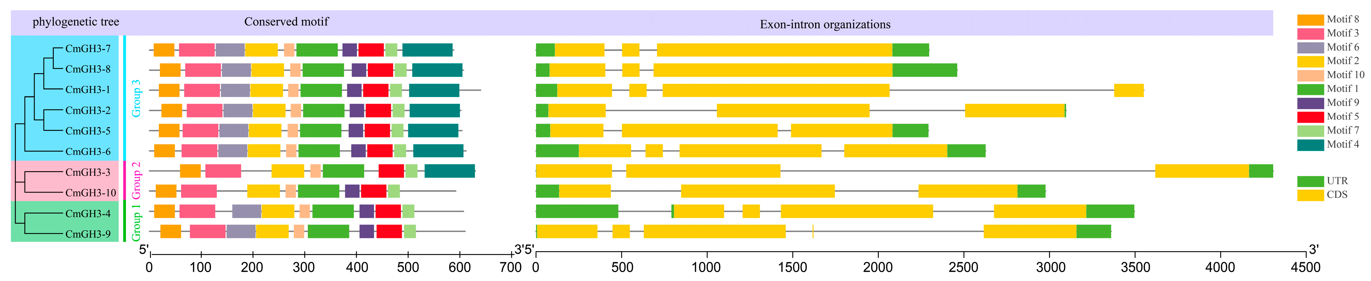 Plants 12 01382 g004 Plants 12 01382 g004