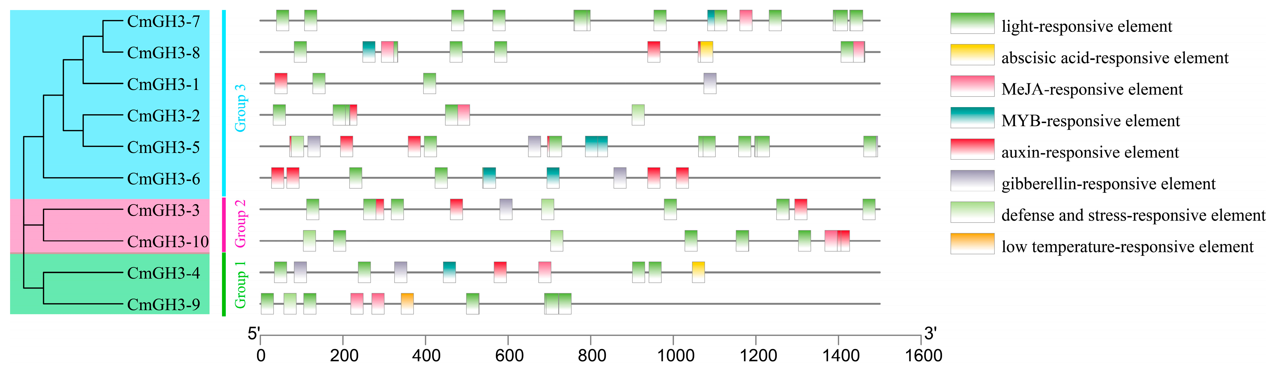 Plants 12 01382 g005 Plants 12 01382 g005